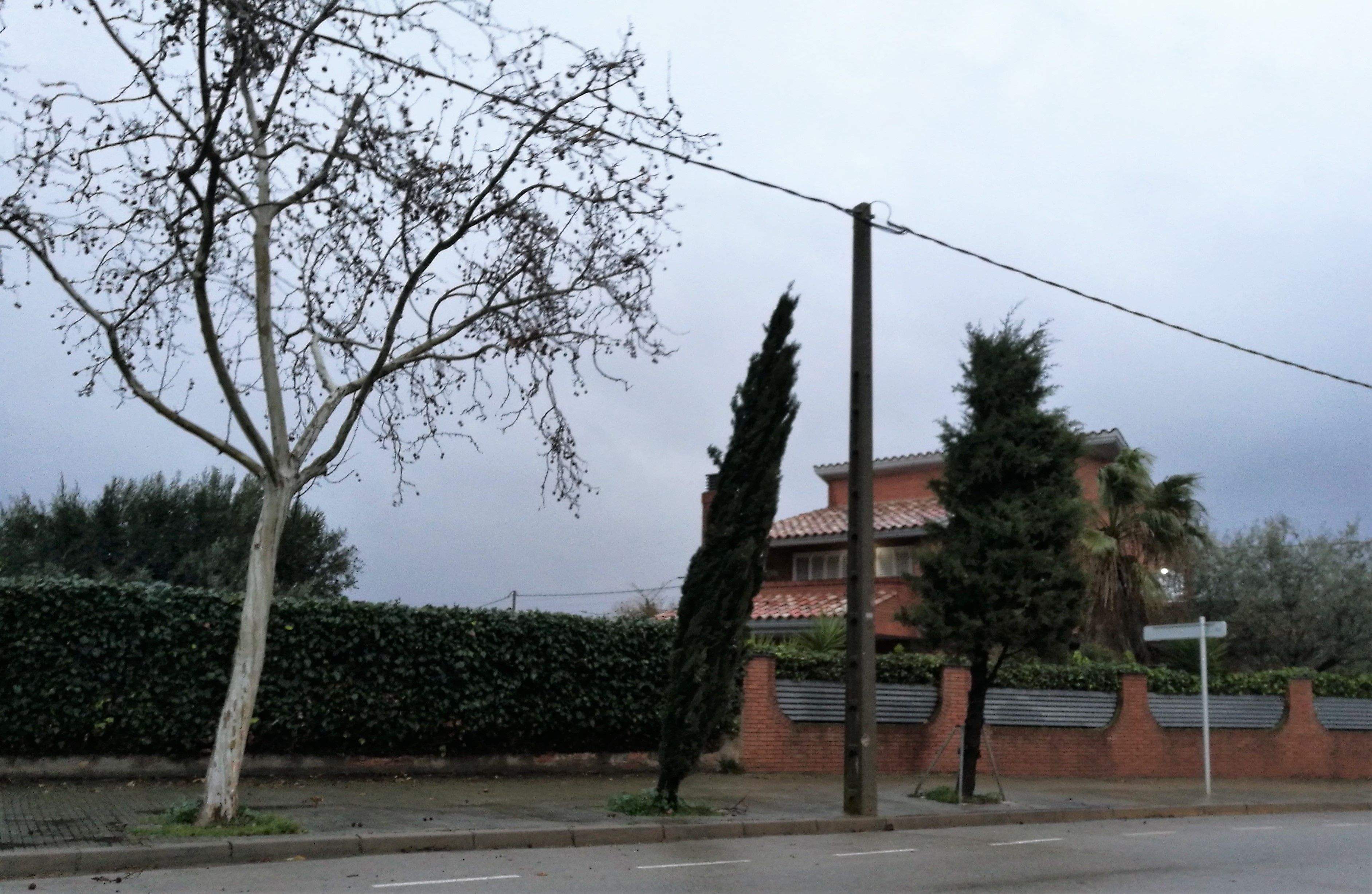 Arbre afectat pel temporal a Rubí. FOTO: Redacció Arbre afectat pel temporal a Rubí. FOTO: Redacció