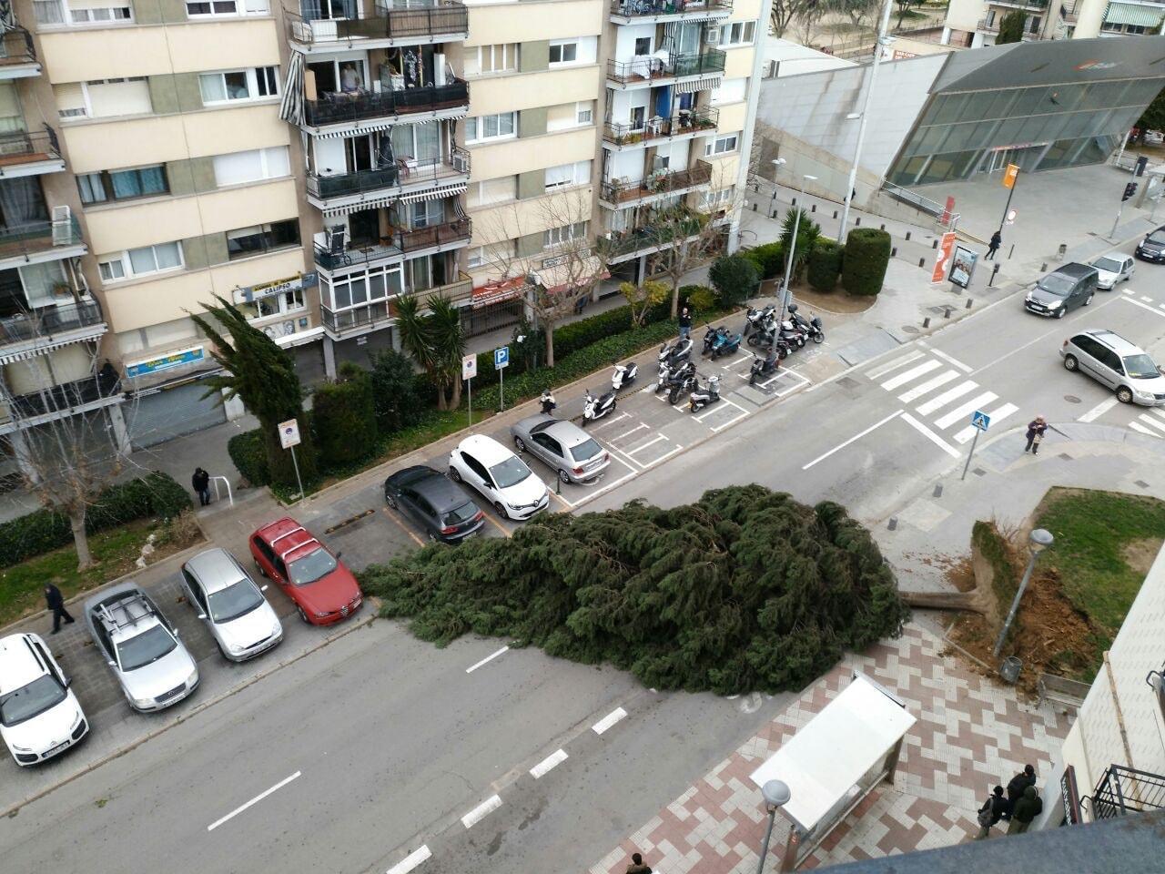Efectes del temporal Glòria a Rubí. FOTO: Cedida Efectes del temporal Glòria a Rubí. FOTO: Cedida