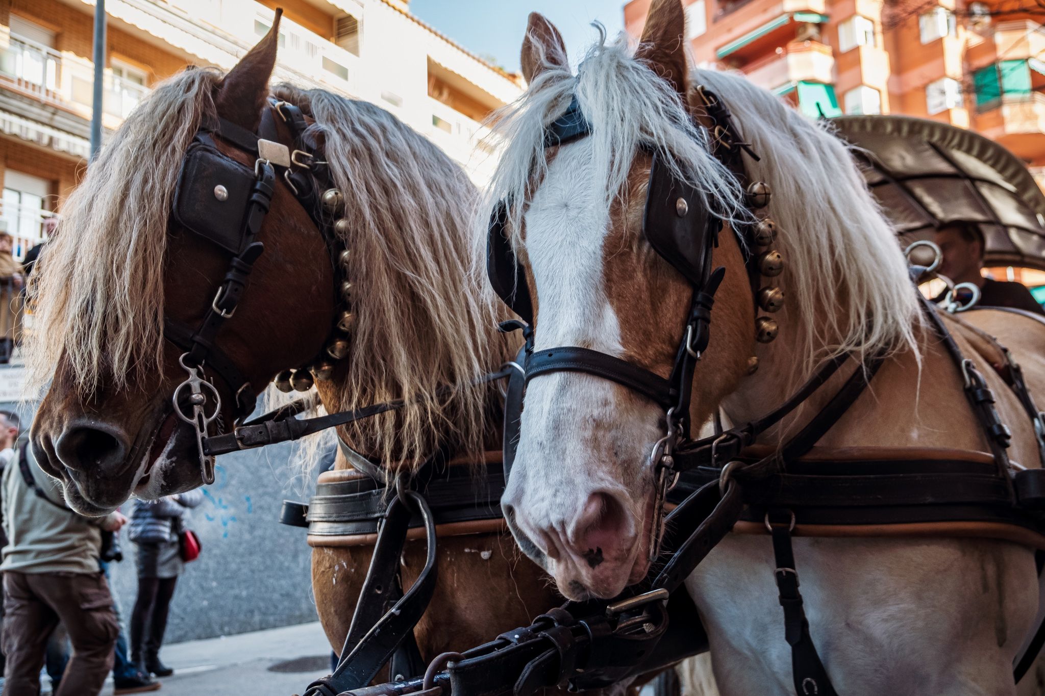 161a edició dels Tres Tombs de Rubí. A. Gómez