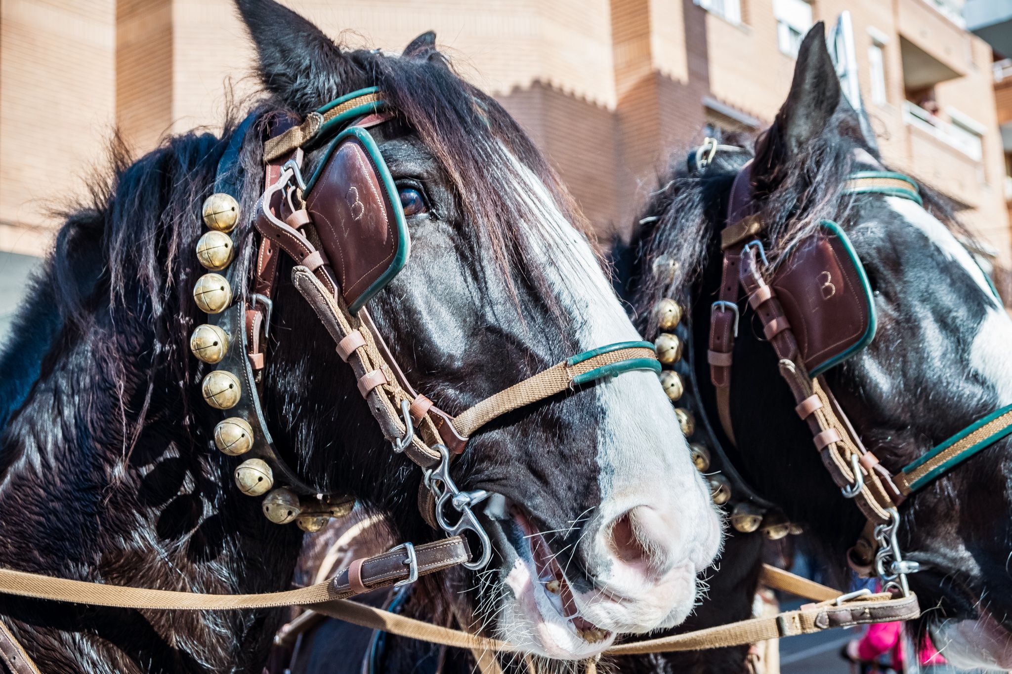 161a edició dels Tres Tombs de Rubí. A. Gómez