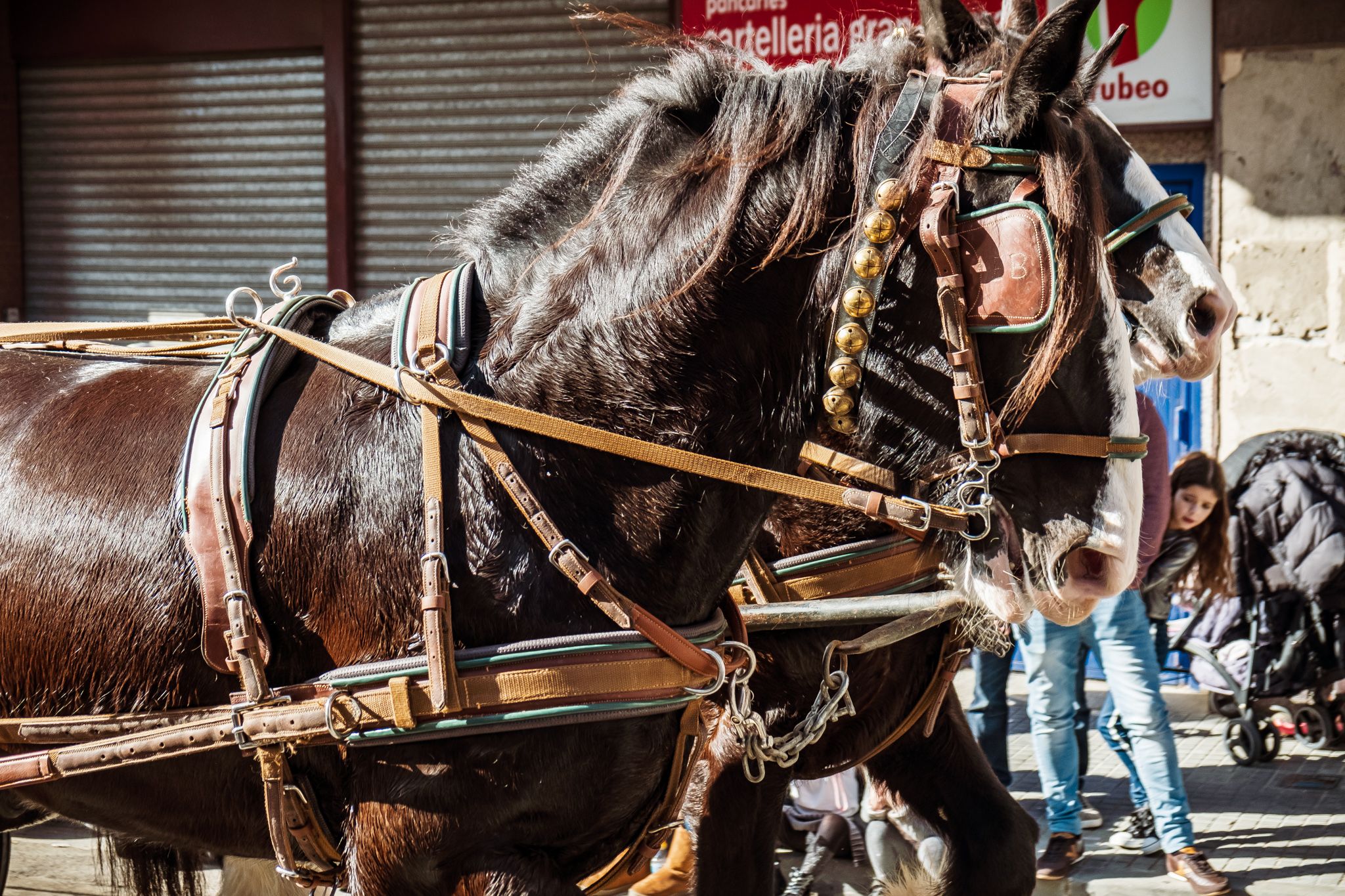 161a edició dels Tres Tombs de Rubí. A. Gómez