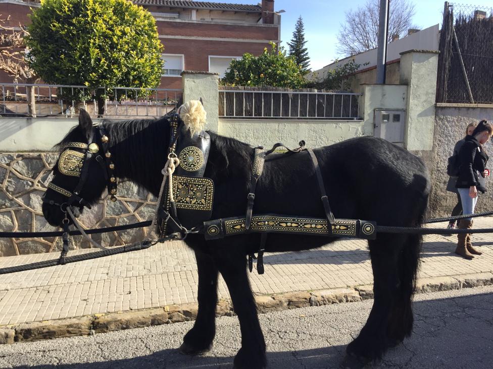 161a edició dels Tres Tombs de Rubí. NH