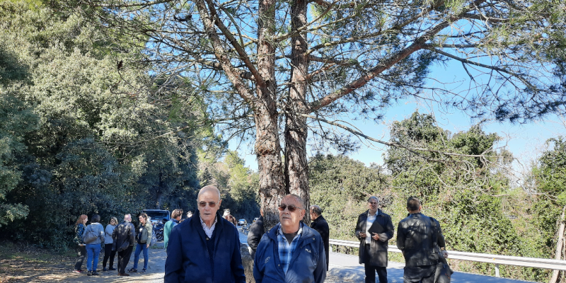 Jordi Roca i Josep Castellvi, amb el pi bessó FOTO: TOT Sant Cugat Jordi Roca i Josep Castellvi, amb el pi bessó FOTO: TOT Sant Cugat
