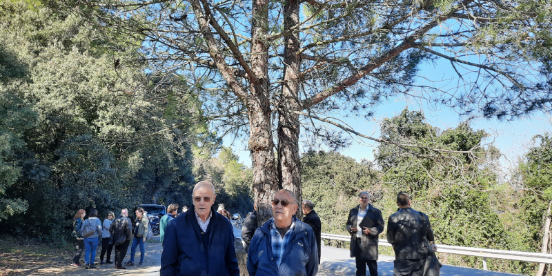 Jordi Roca i Josep Castellvi, amb el pi bessó FOTO: TOT Sant Cugat