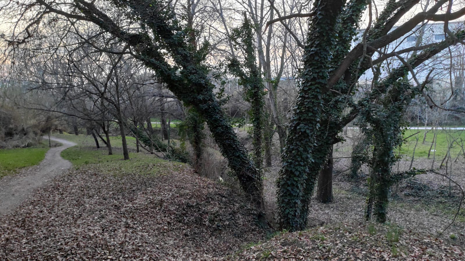 El camí que ressegueix el Torrent dels Alous. FOTO: Redacció