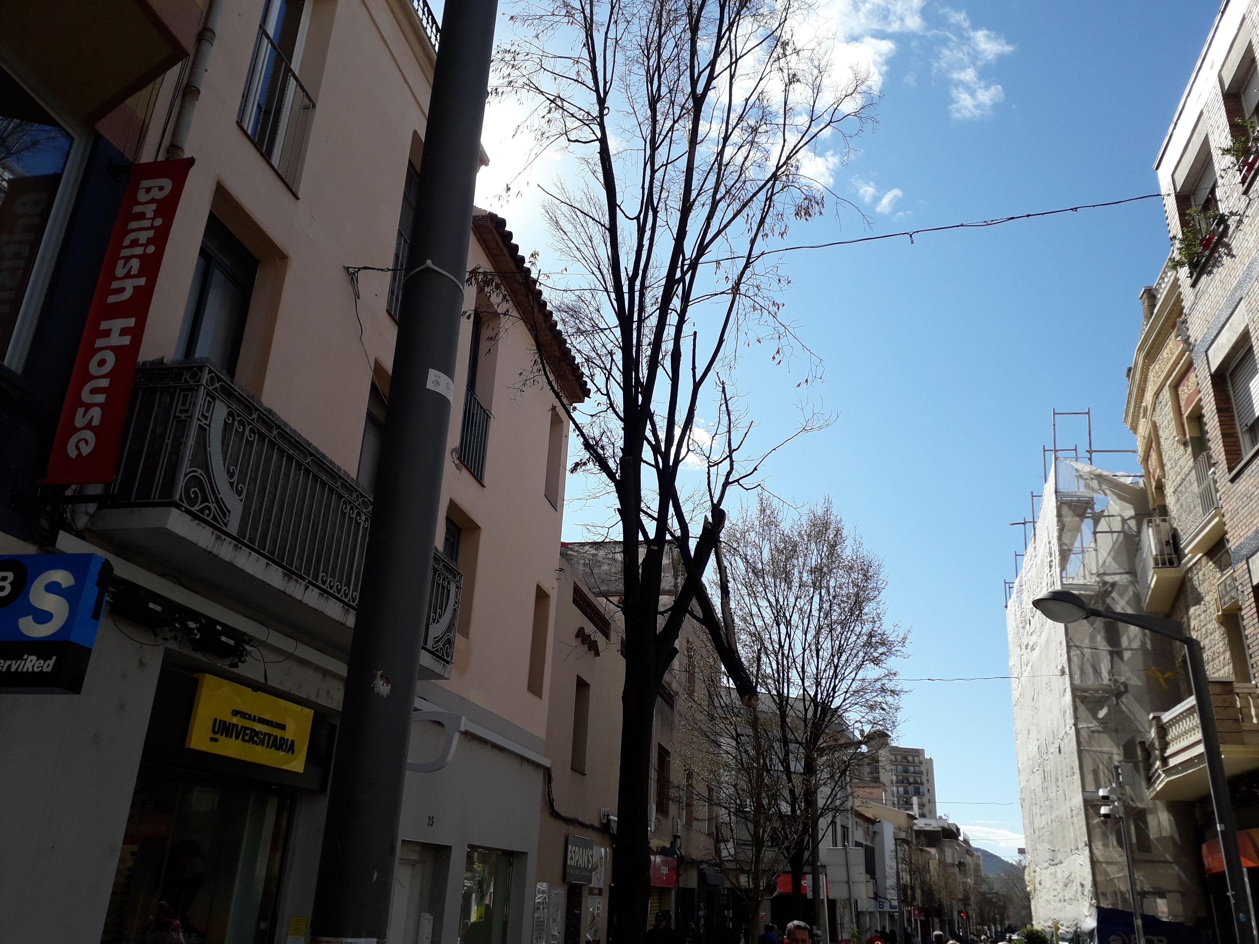 A l'avinguda Barcelona també hi ha un arbre que afectat per les fortes ratxes de vent. FOTO: Redacció