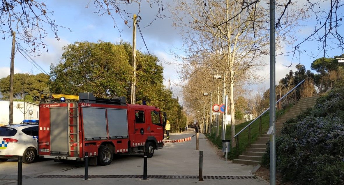 Els Bombers han retirat la branca per evitar la seva caiguda. FOTO: A.C. 