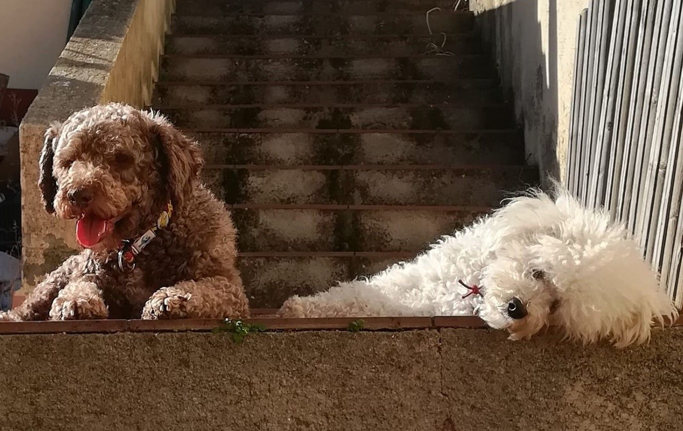 El Nick i la Gala, de Rubí. FONT: N. Escudé