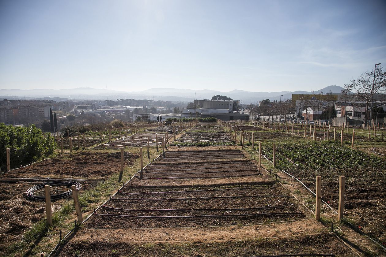Els horts municipals de Cova Solera on es farà el curs de jardineria i horticultura. FONT: Ajuntament de Rubí-Lali Puig