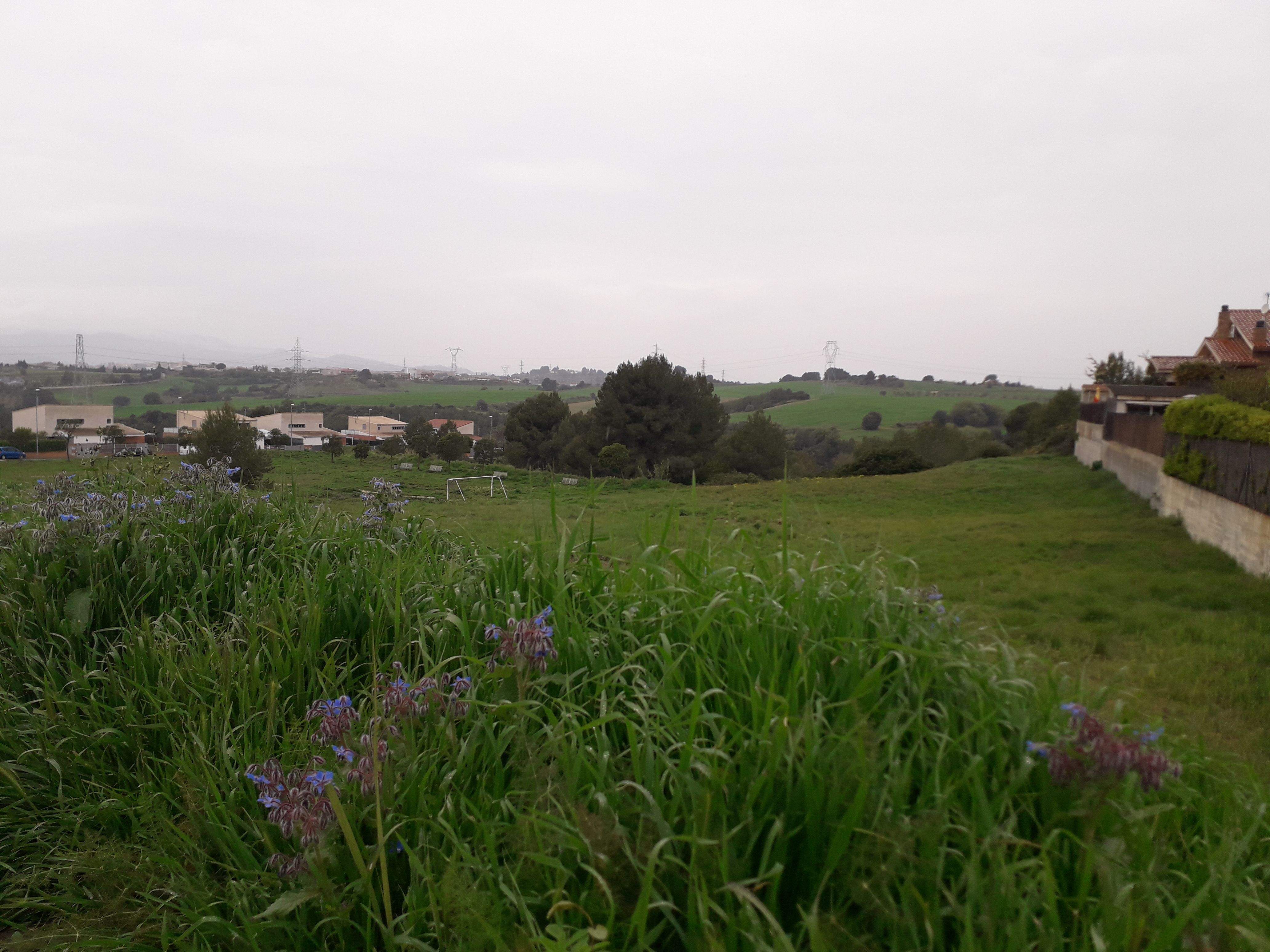 Protecció Civil desactiva l'alerta de l'INUNCAT un cop finalitzat l'episodi de pluges intenses. FOTO: Redacció