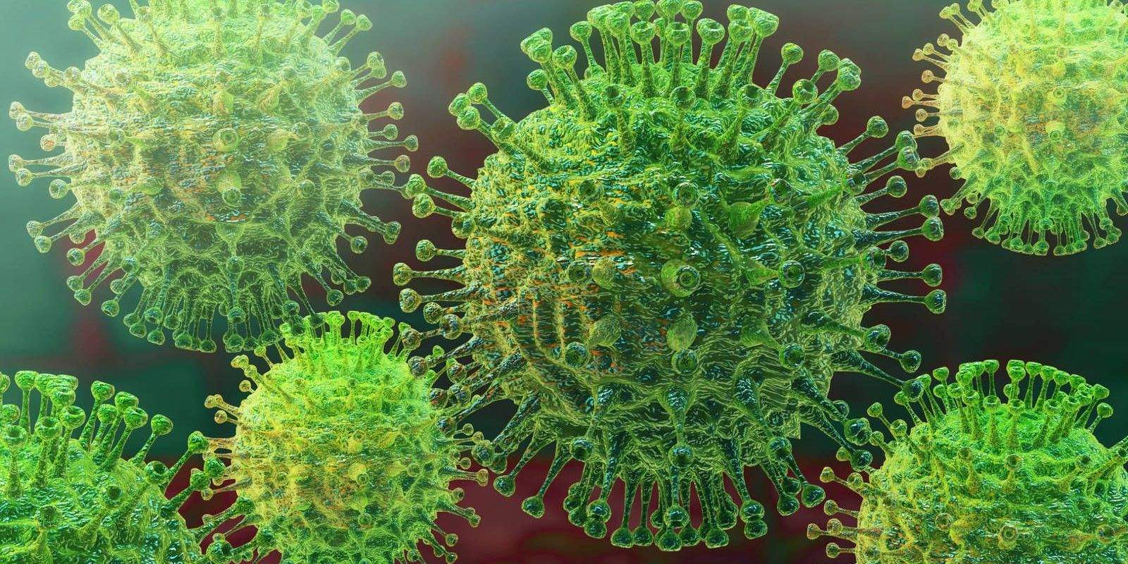 La Diputació crea un visor de dades municipals de la pandèmia