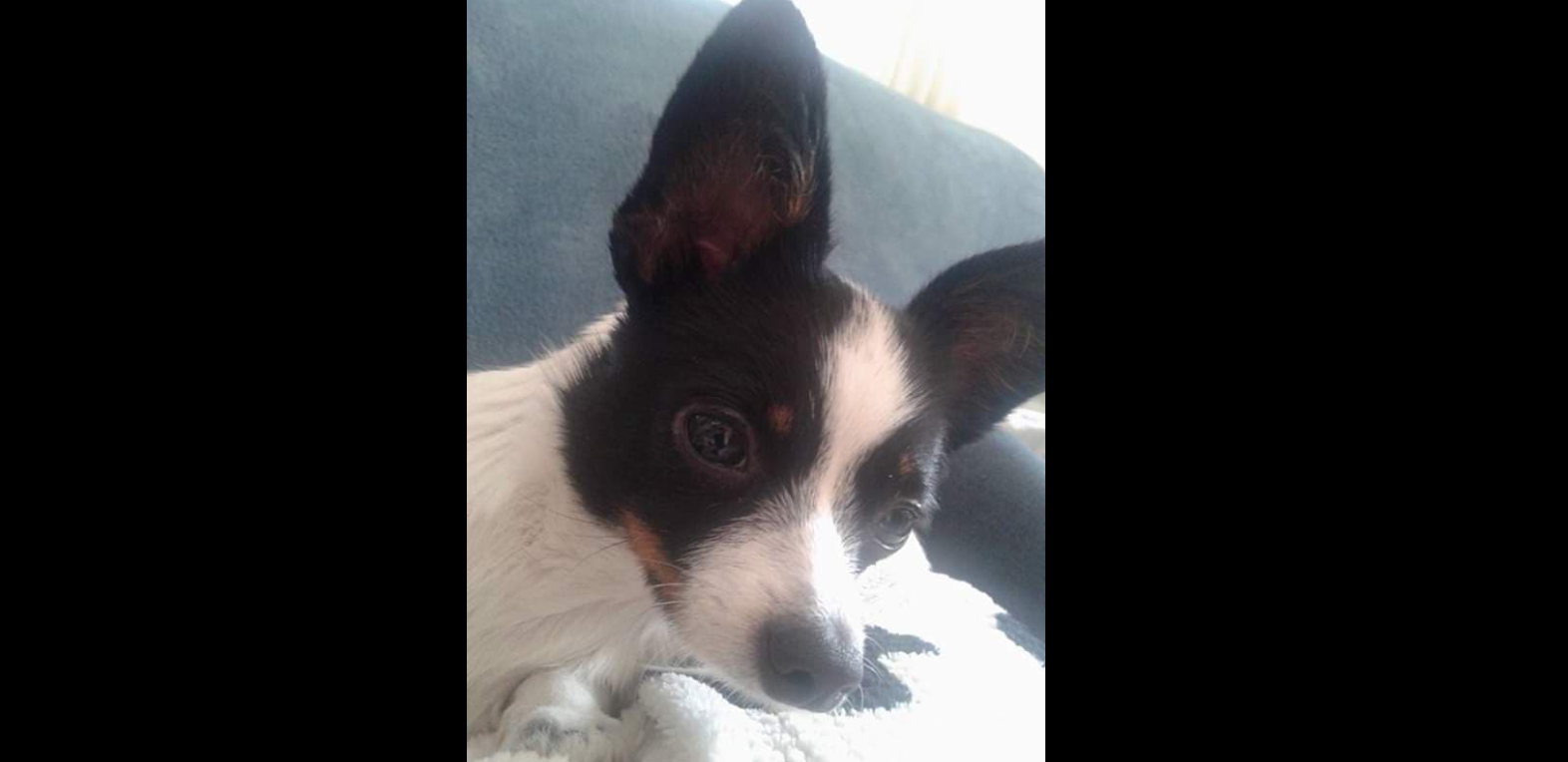 La Rita ha passat per tres operacions. FOTO: Cedida