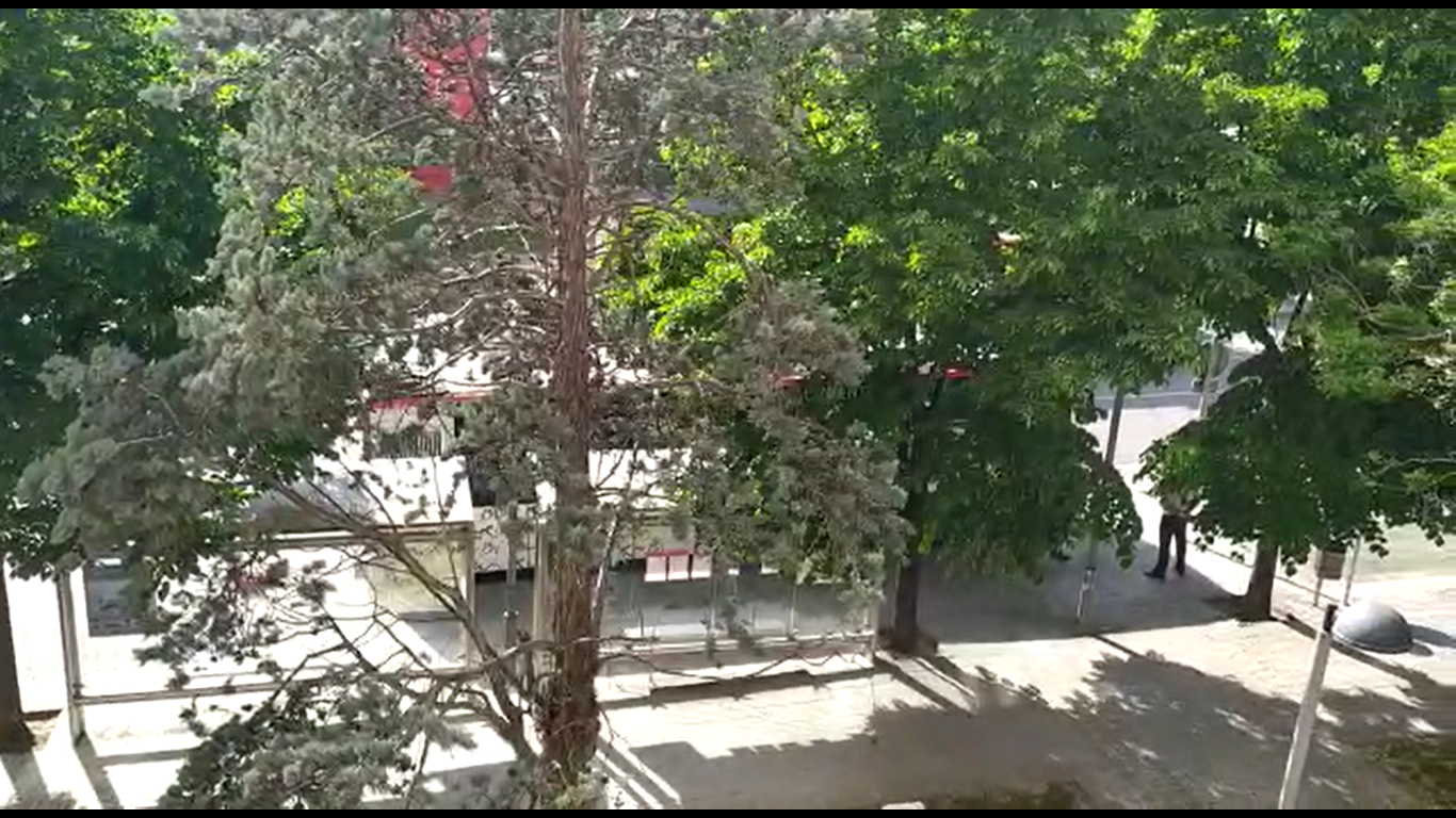 Contaminació i autobusos. FOTO: David Nacher Contaminació i autobusos. FOTO: David Nacher