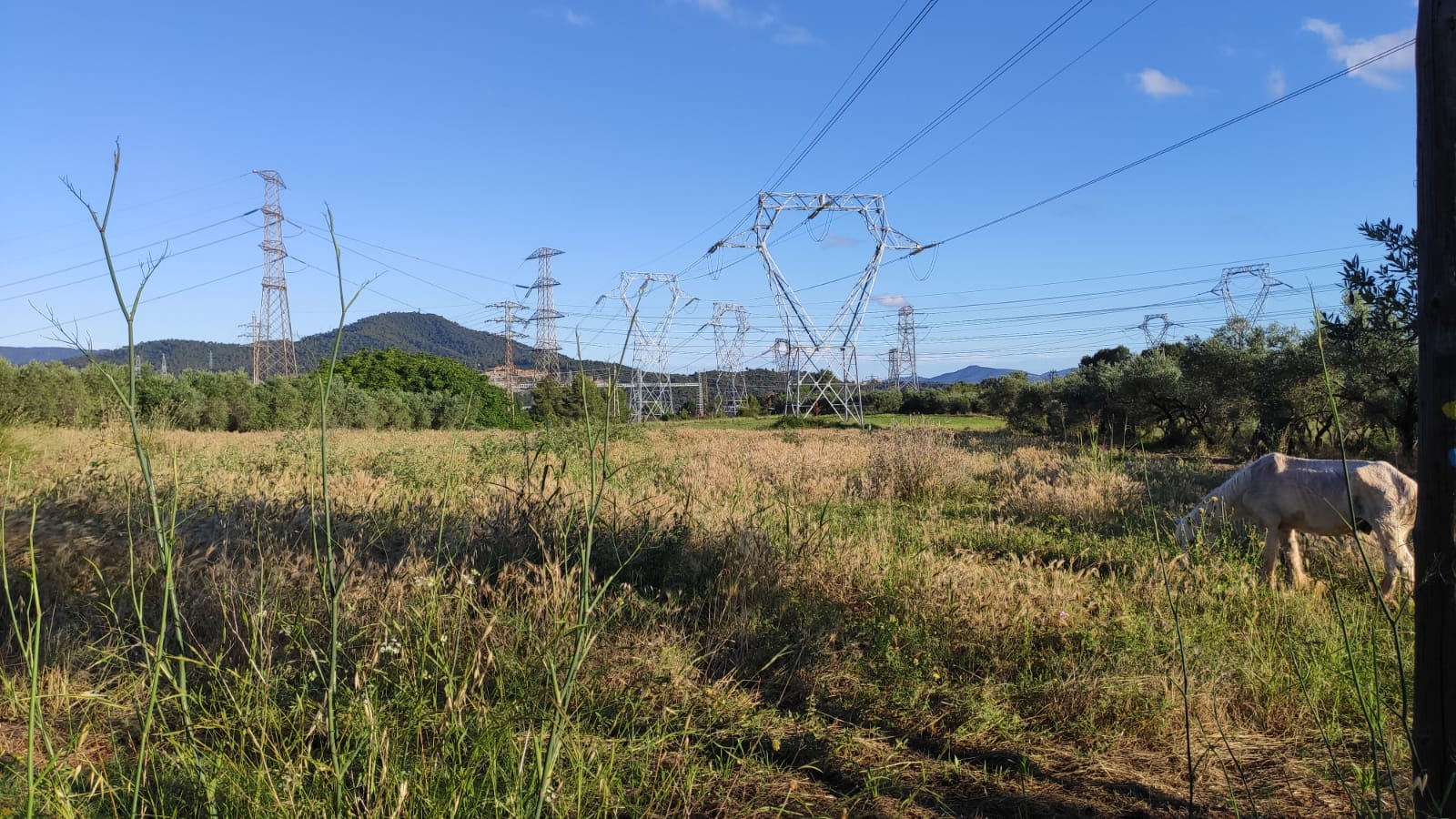 Línies d'alta tensió a Can Balasc, prop de la subestació de Red Eléctrica de Rubí. FOTO: NHS Línies d'alta tensió a Can Balasc, prop de la subestació de Red Eléctrica de Rubí. FOTO: NHS