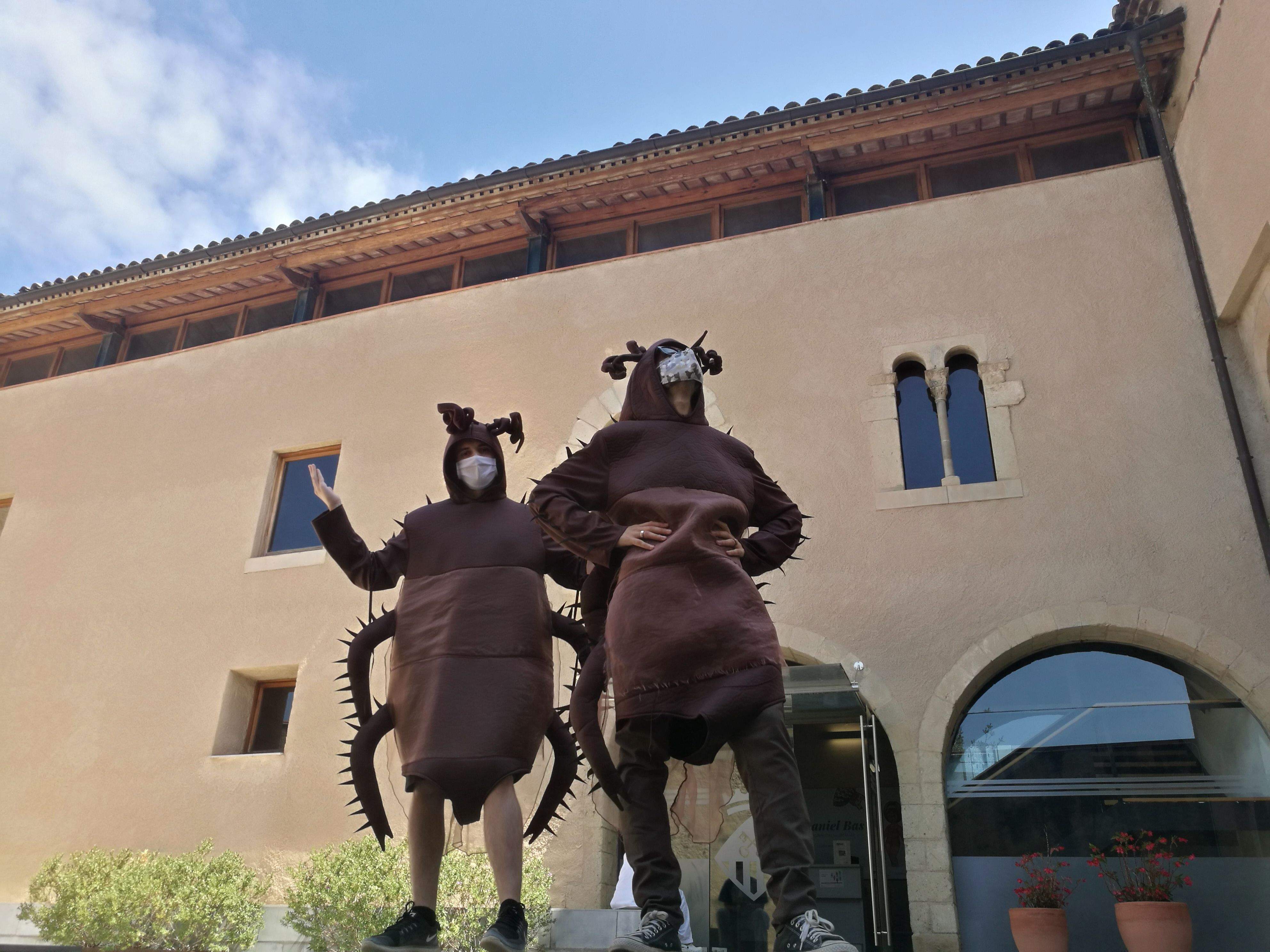 Les cuques de l'InFest, que enguany comptarà amb menys terror i més animació. FOTO: Redacció
