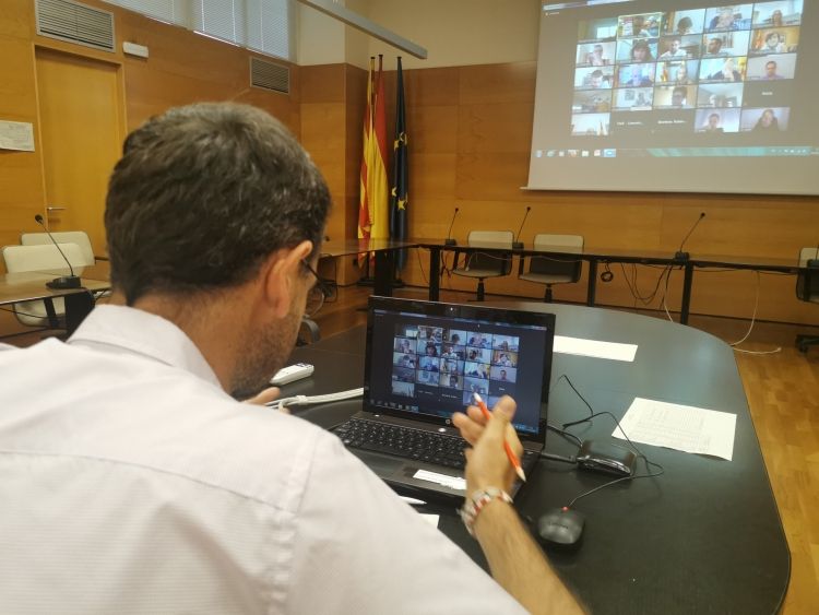 La sessió del Consell d'Alcaldies s'ha celebrat en format virtual aquest dijous al matí. FOTO: Cedida