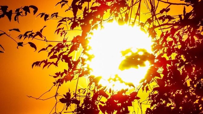 Sol d'agost. FOTO: Cedida Sol d'agost. FOTO: Cedida