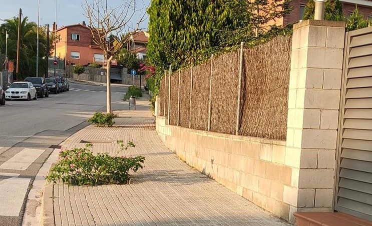 La nova entitat ha elaborat un mapa interactiu que indica els 268 arbres que estan morts o han estat talats a Rubí. FOTO: Facebook de Volem Rubí Verd