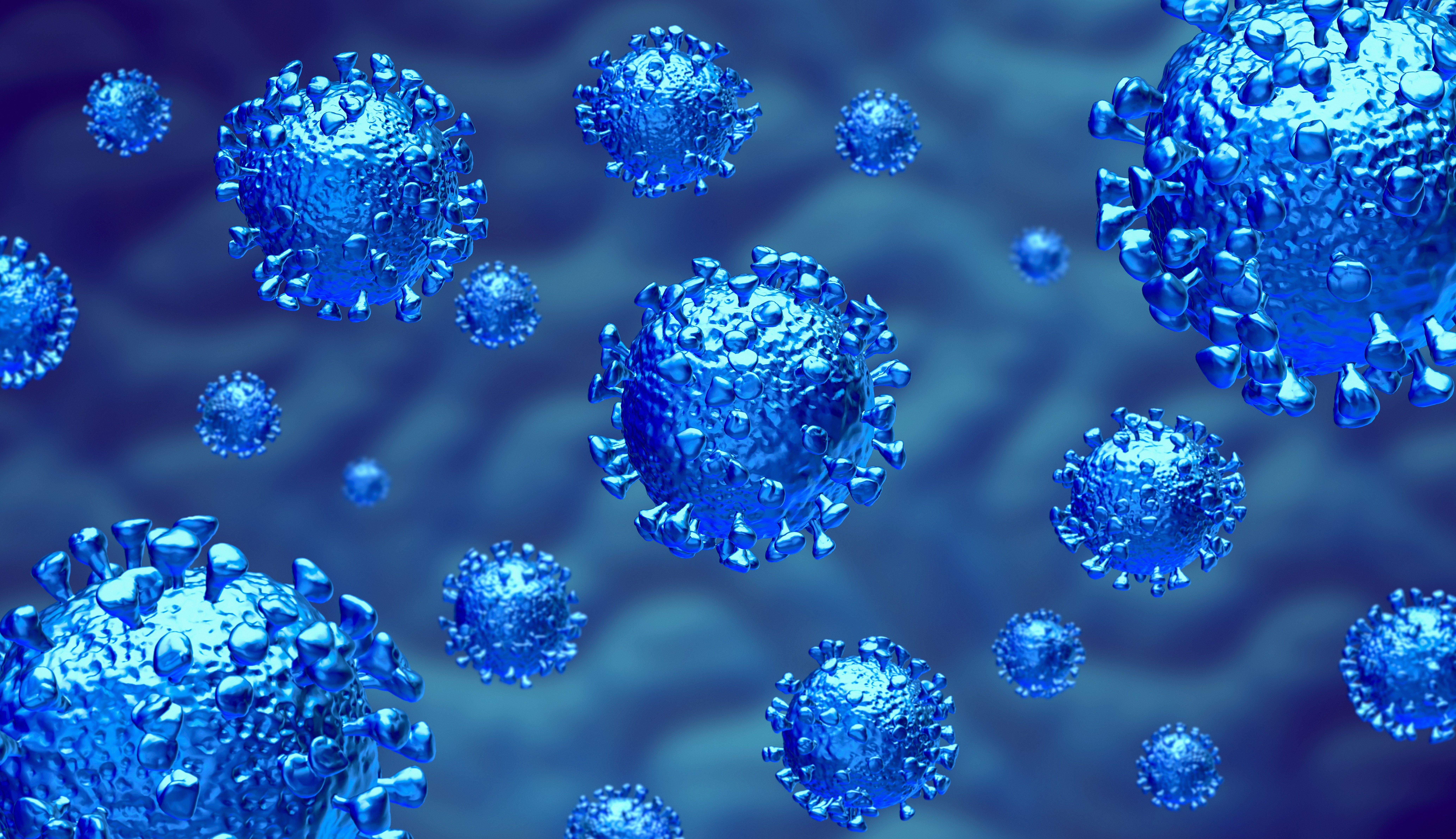 Coronavirus s'ha imposat com el neologisme del 2020 Coronavirus s'ha imposat com el neologisme del 2020