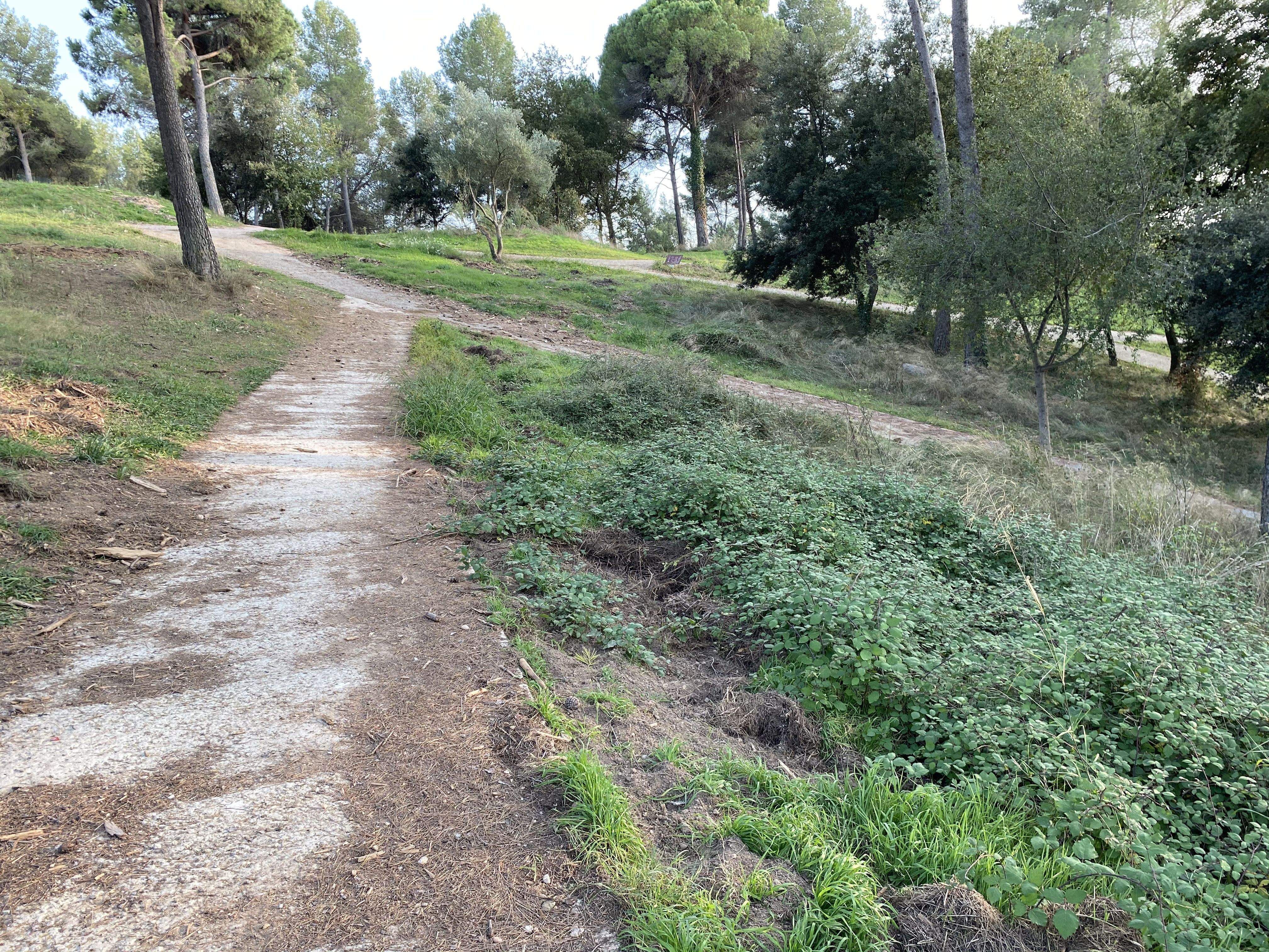 El camp de golf de Can Sant Joan té molts números de tornar a ser un espai destinat a la pràctica d’aquest esport i no pas un parc interurbà per a la ciutadania. FOTO: R. Cabús El camp de golf de Can Sant Joan té molts números de tornar a ser un espai destinat a la pràctica d’aquest esport i no pas un parc interurbà per a la ciutadania. FOTO: R. Cabús