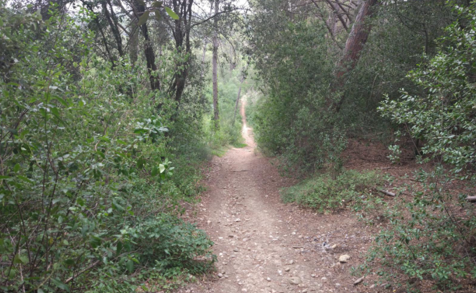 Ruta per descobrir la Serra de Penjallops. FOTO: sjgasca - Wikiloc