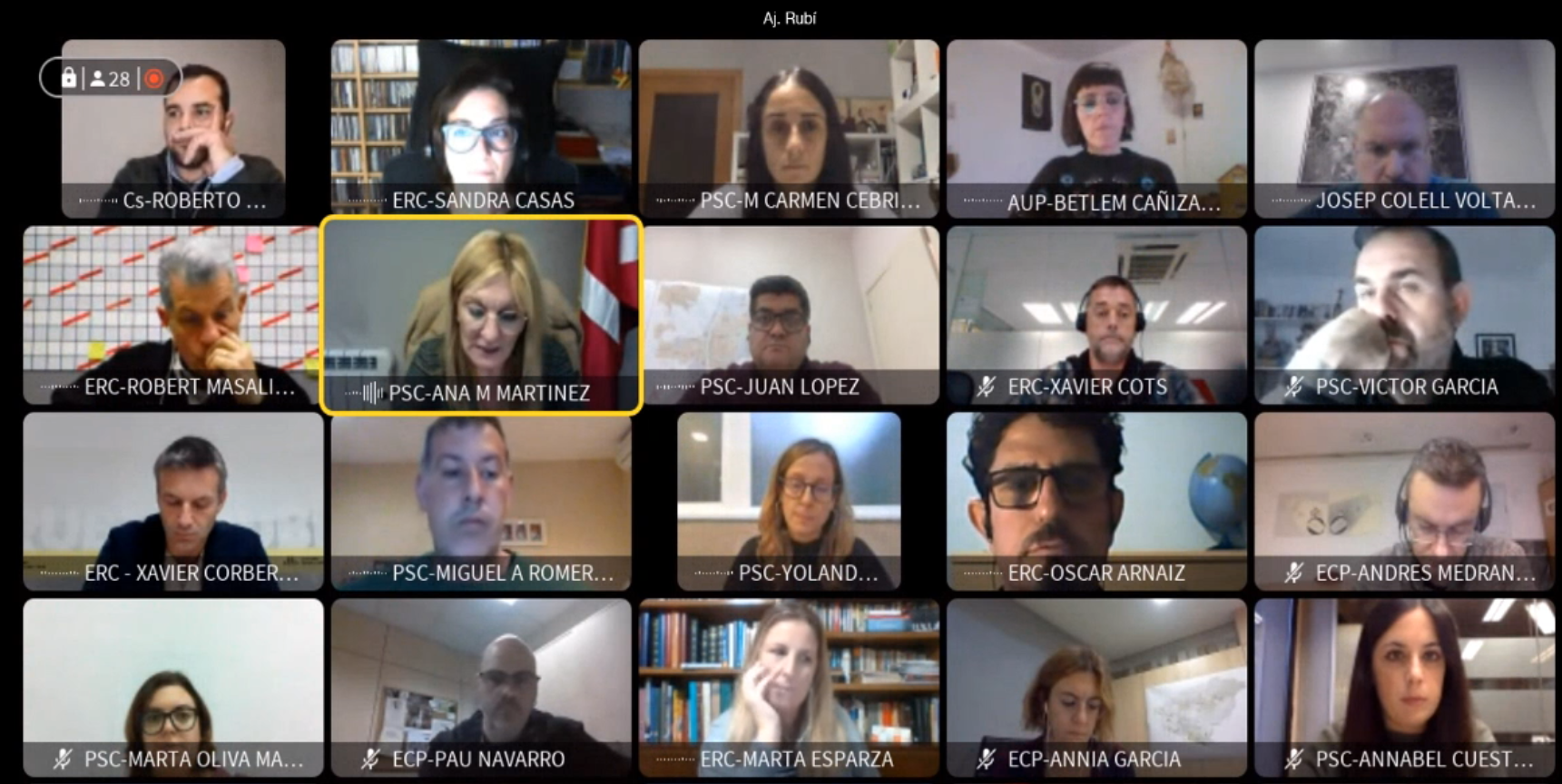 Ple municipal ordinari del mes de novembre