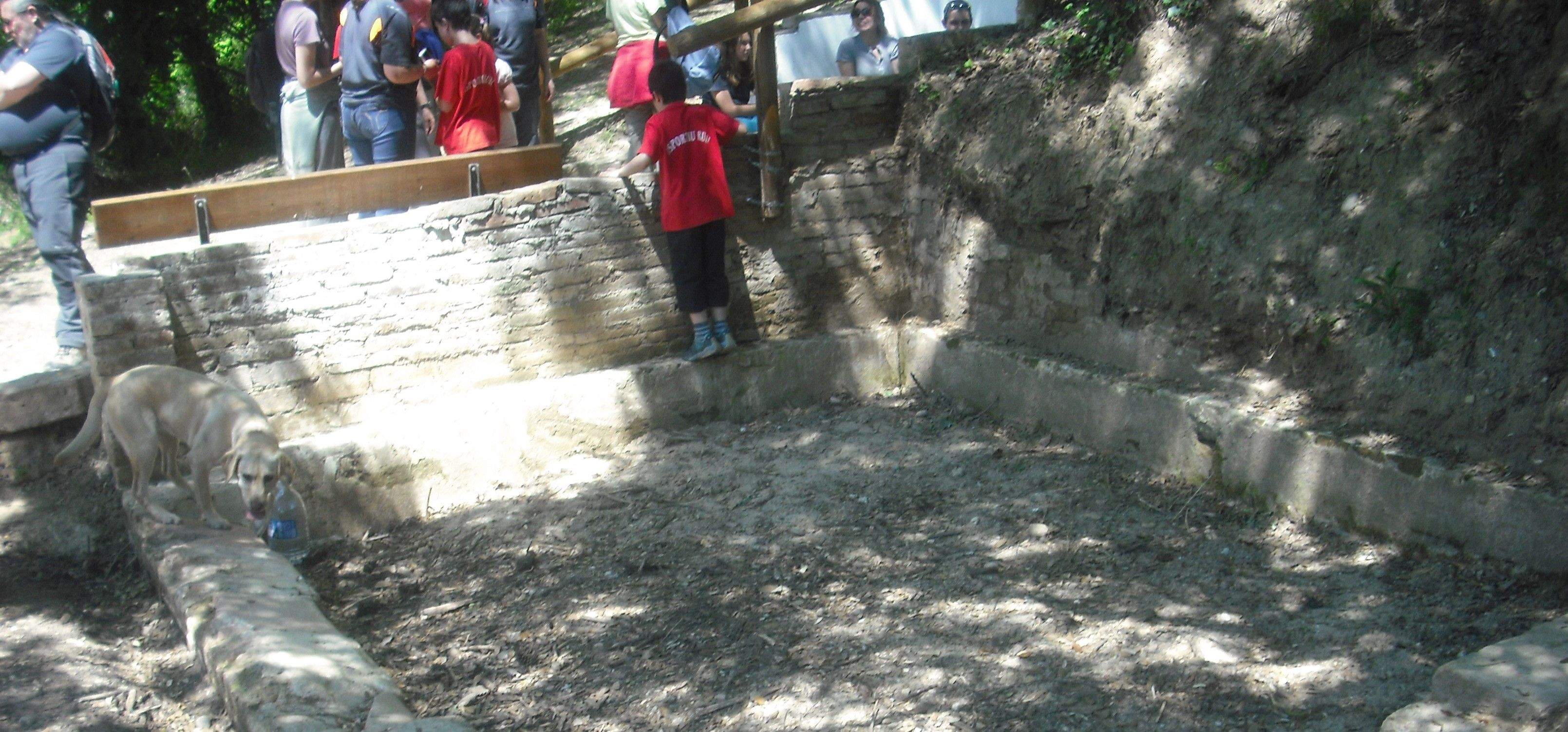 Bassa de la font, juny 2013. FOTO: Jordi Vilalta