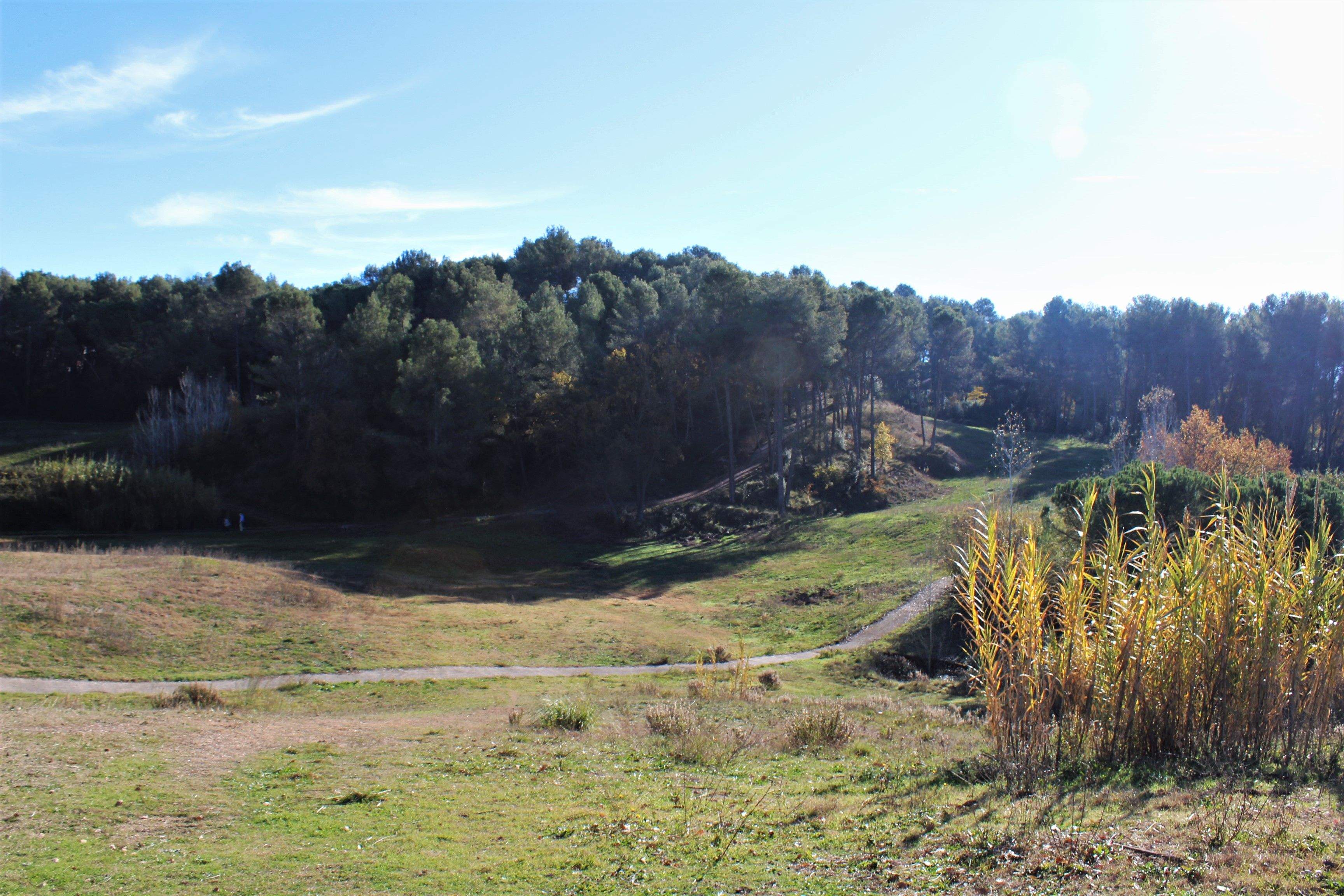 Camp de golf de Can Sant Joan. FOTO: AMM