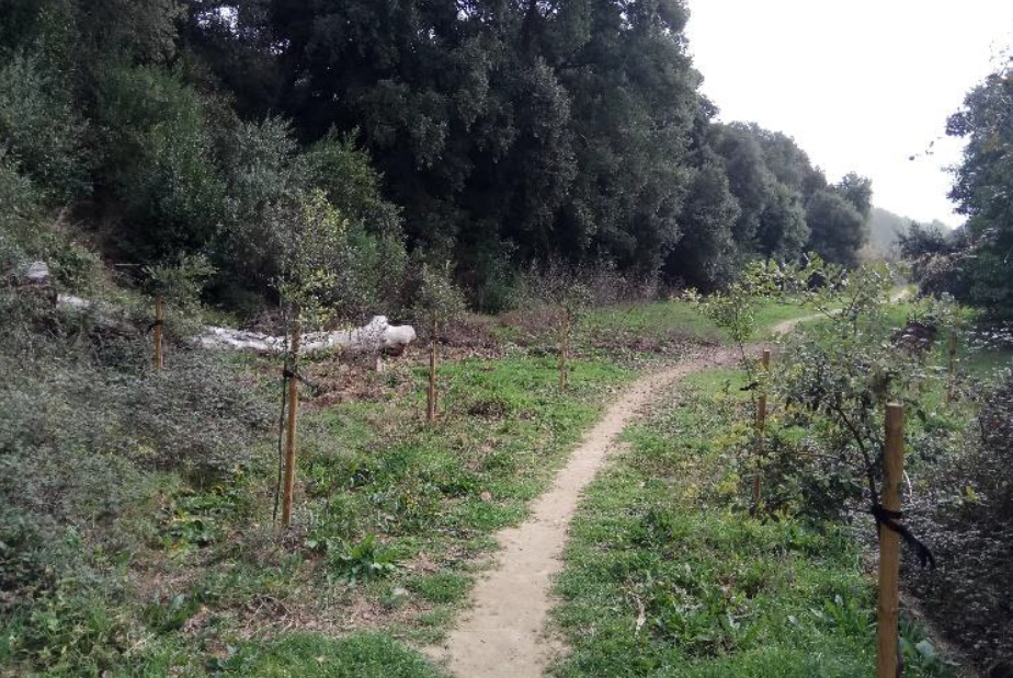 Les accions del voluntariat ambiental se centraran en la font de Sant Muç i el torrent del Mut. FOTO: Cedida Les accions del voluntariat ambiental se centraran en la font de Sant Muç i el torrent del Mut. FOTO: Cedida