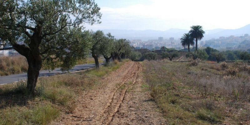 Foto del camí Romeu fins a l'ermita de Sant Muç, un dels itineraris inclosos all perfil Viu el Vallès. FOTO: Wikiloc