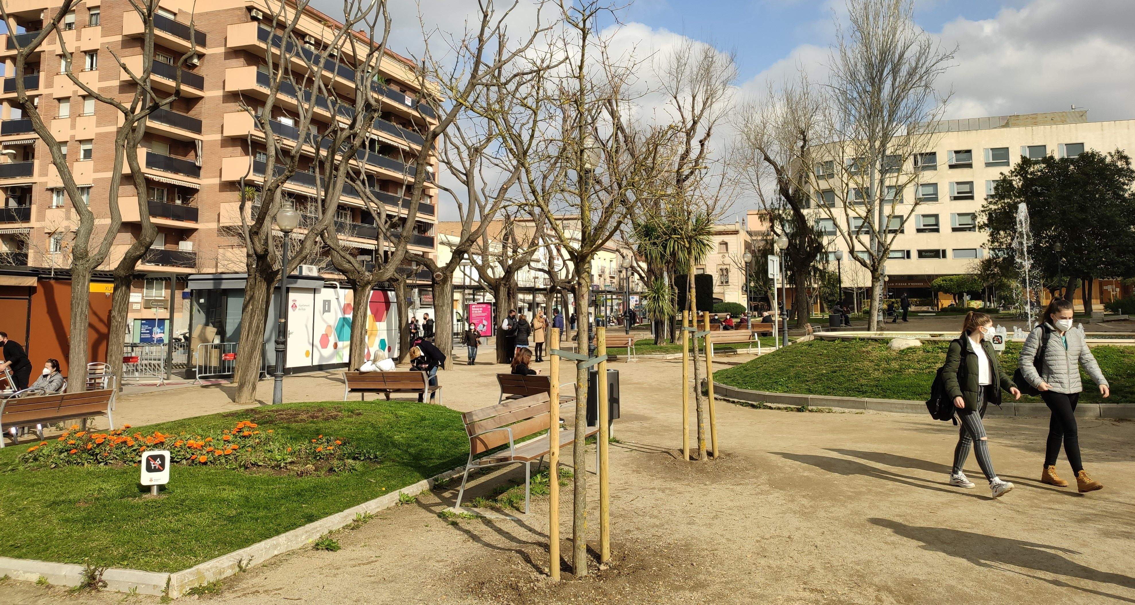 Nous arbres plantats en les darreres setmanes a la plaça Pearson. FOTO: Redacció