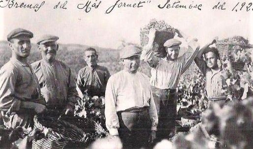 La verema a terres del mas Jornet, 1923.  FOTO: Cedida per Rosa Brustenga  La verema a terres del mas Jornet, 1923.  FOTO: Cedida per Rosa Brustenga