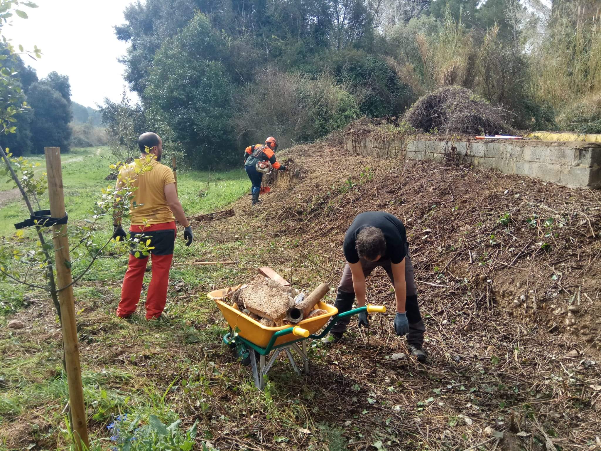 Tasques de desbrossament en la tercera jornada de voluntariat ambiental a Rubí. FOTO: Mireia Gascón Tasques de desbrossament en la tercera jornada de voluntariat ambiental a Rubí. FOTO: Mireia Gascón