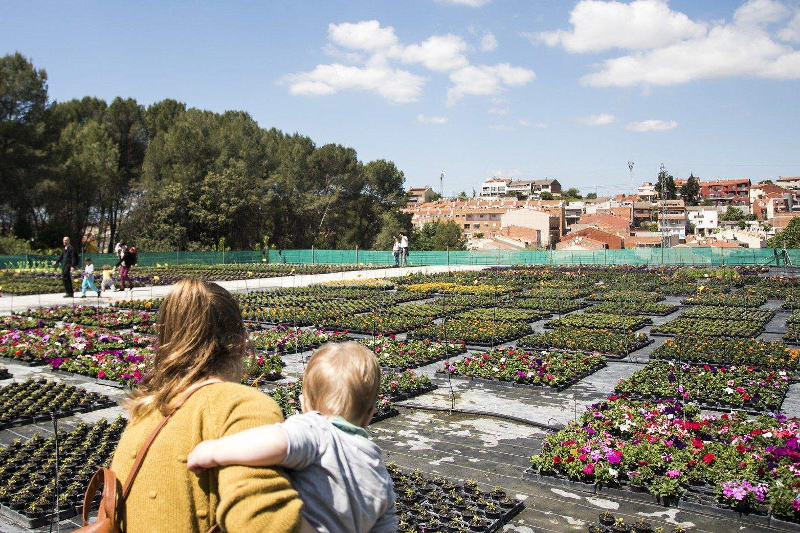 Viver de plantes de la Font del Ferro. FOTO: Ajuntament de Rubí-Lali Puig