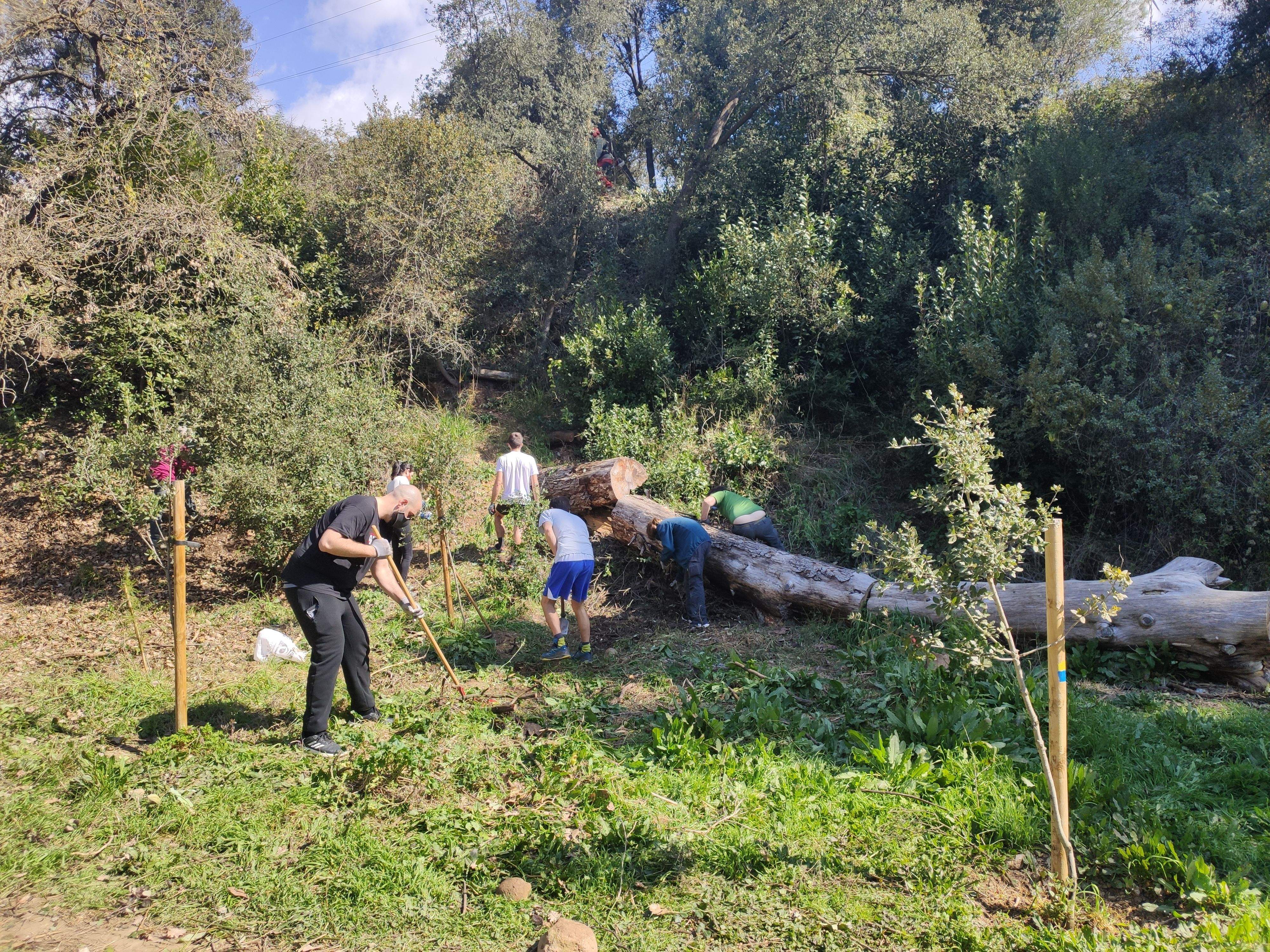 Persones voluntàries realitzant tasques de neteja i desbrossament en la penúltima campanya de voluntariat ambiental. FOTO: Redacció Persones voluntàries realitzant tasques de neteja i desbrossament en la penúltima campanya de voluntariat ambiental. FOTO: Redacció
