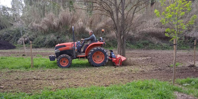 L'associació Ecobodum ha participat llaurant el terreny per facilitar la plantada d'arbres. FOTO: Cedida