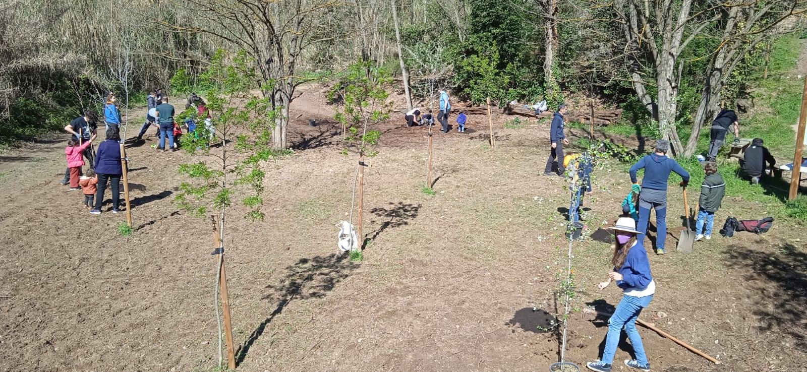 La campanya de voluntariat va finalitzar amb la plantació de 30 arbres i un centenar d'arbustos a l'entorn de la font de Sant Muç. FOTO: Rubí d'Arrel
