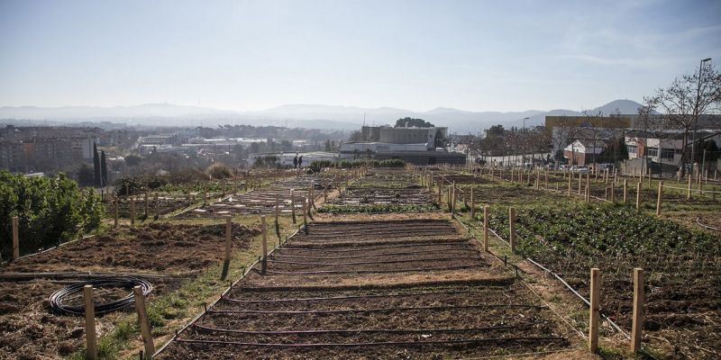 Els horts de Cova-Solera de Rubí. FOTO: Cedida