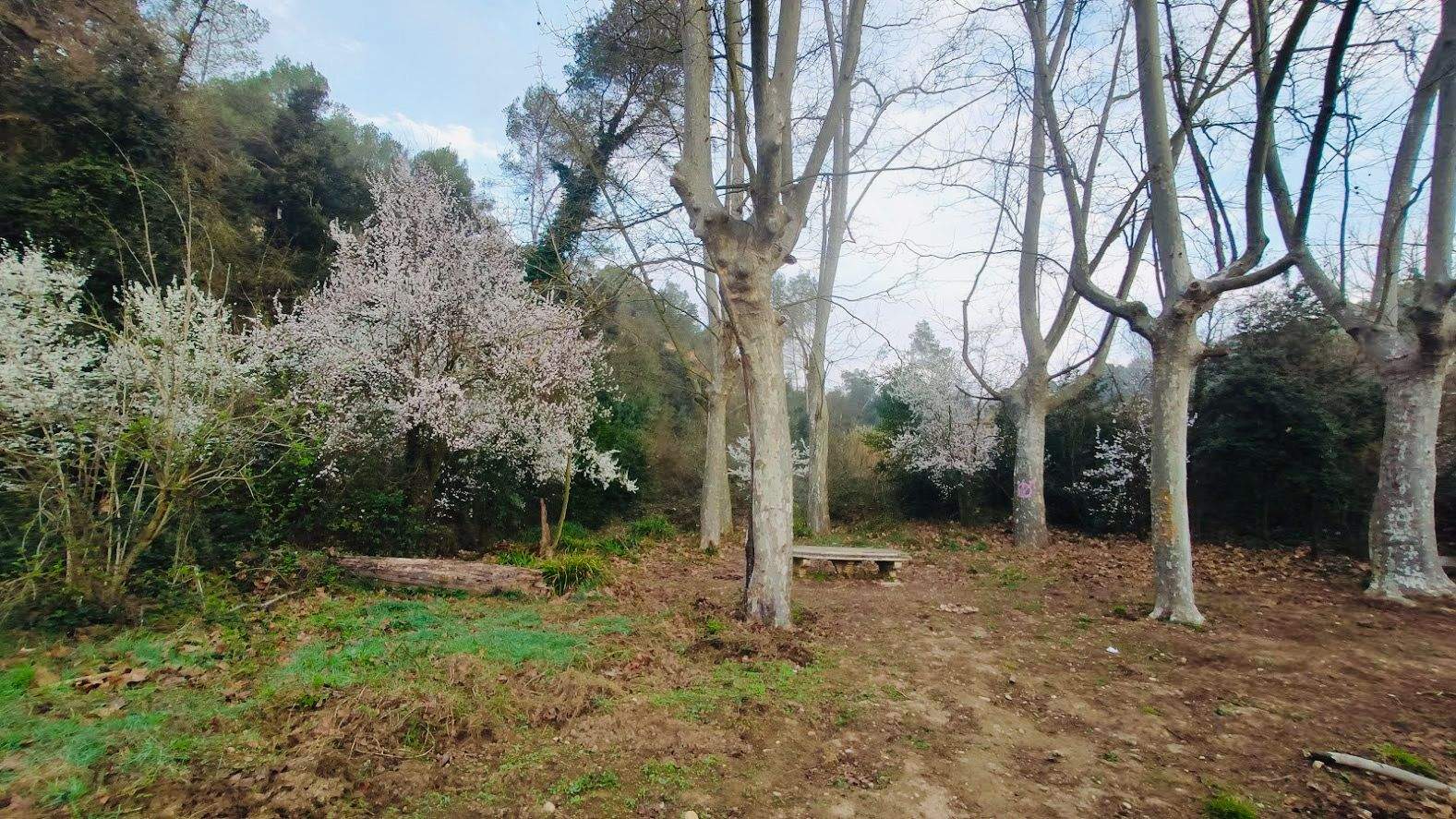 Del 22 al 30 d'abril, la ciutat celebrarà una nova edició del Dia de la Terra amb una àmplia programació. FOTO: JSB