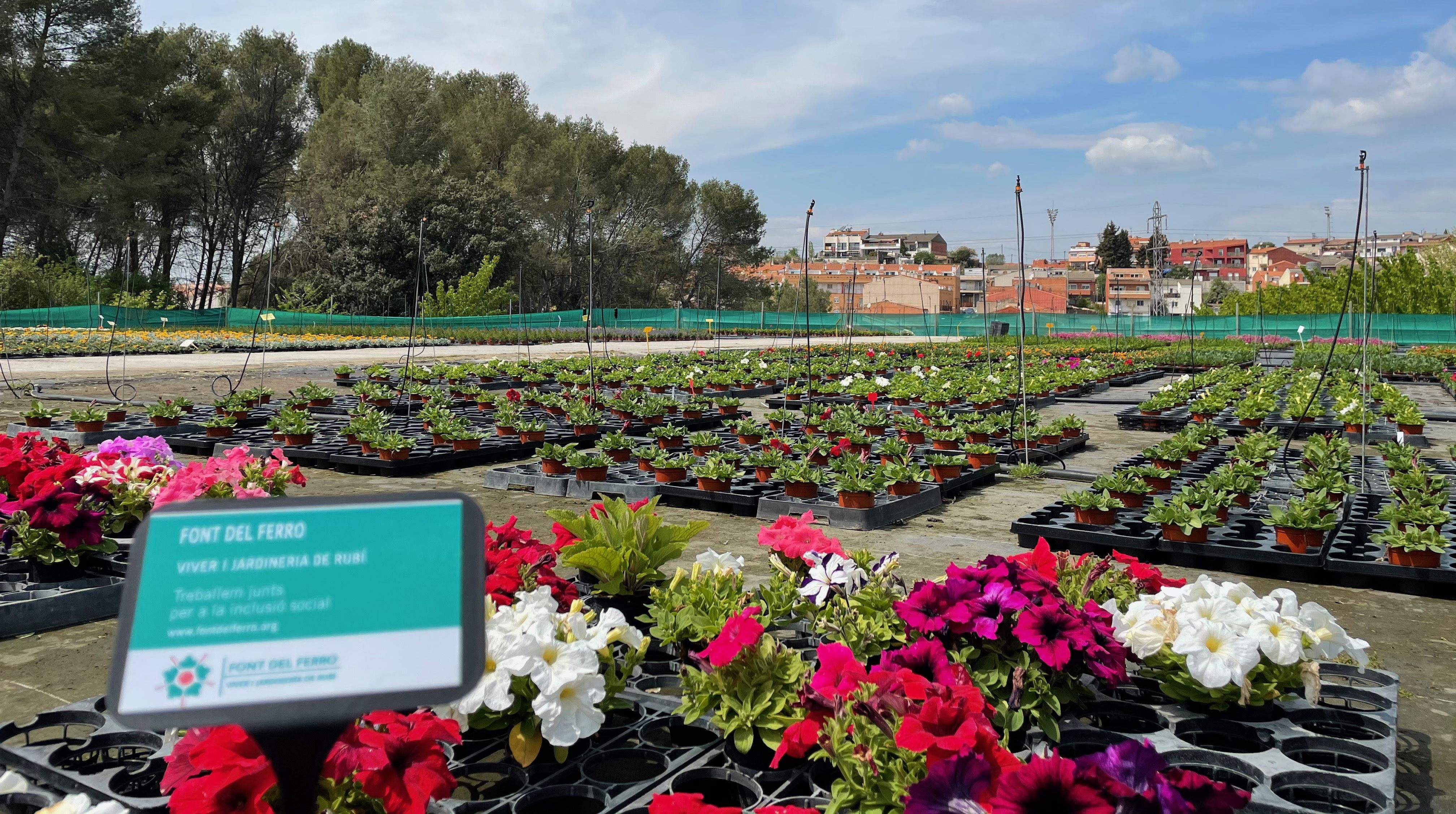 Detall d'una de les zones del viver i jardineria de la Font del Ferro. FOTO: NHS