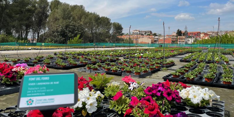 Detall d'una de les zones del viver i jardineria de la Font del Ferro. FOTO: NHS Detall d'una de les zones del viver i jardineria de la Font del Ferro. FOTO: NHS