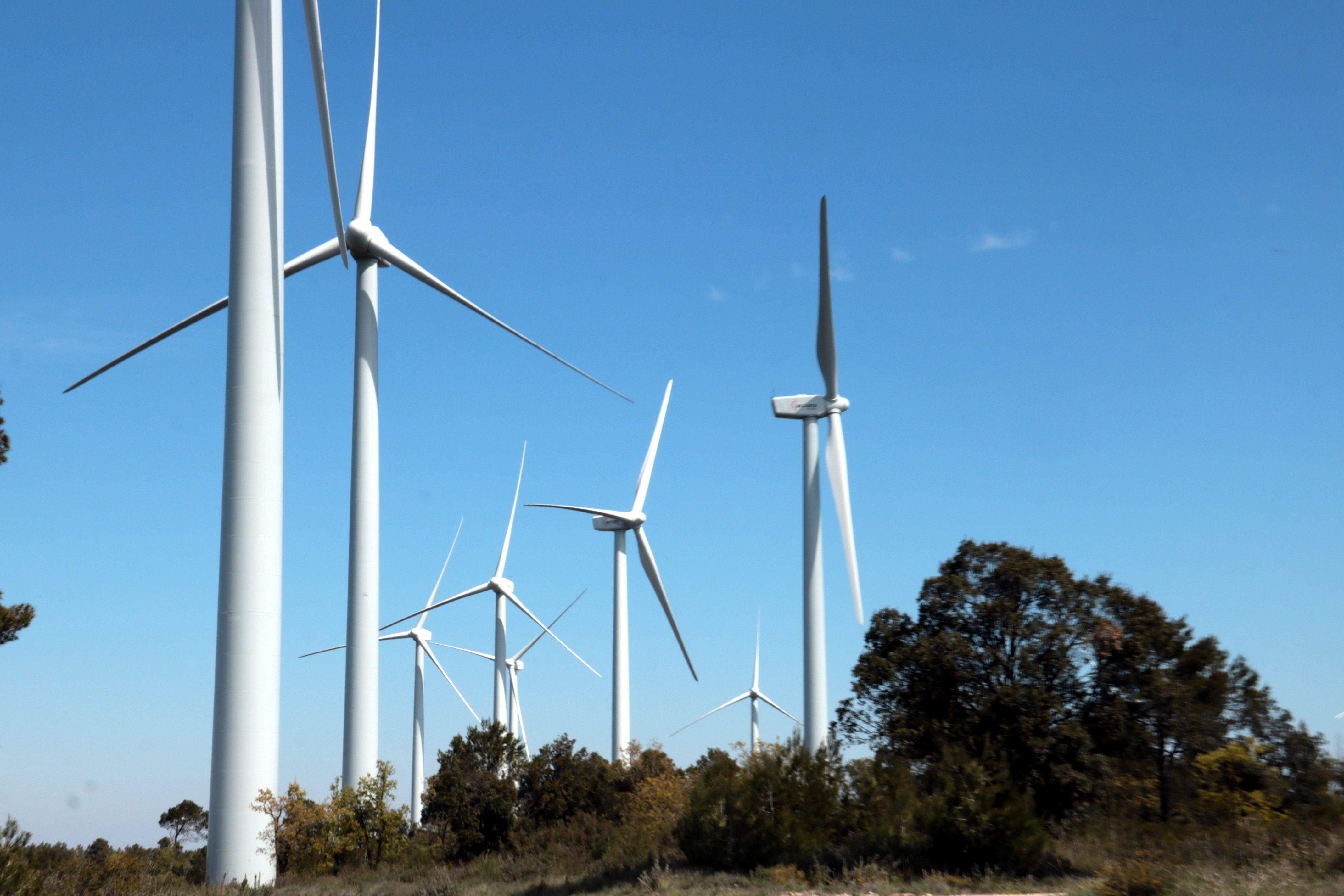 La Generalitat avala l'emplaçament d'un parc eòlic amb sis aerogeneradors i de dos plantes fotovoltaiques al Segrià. FOTO: ACN