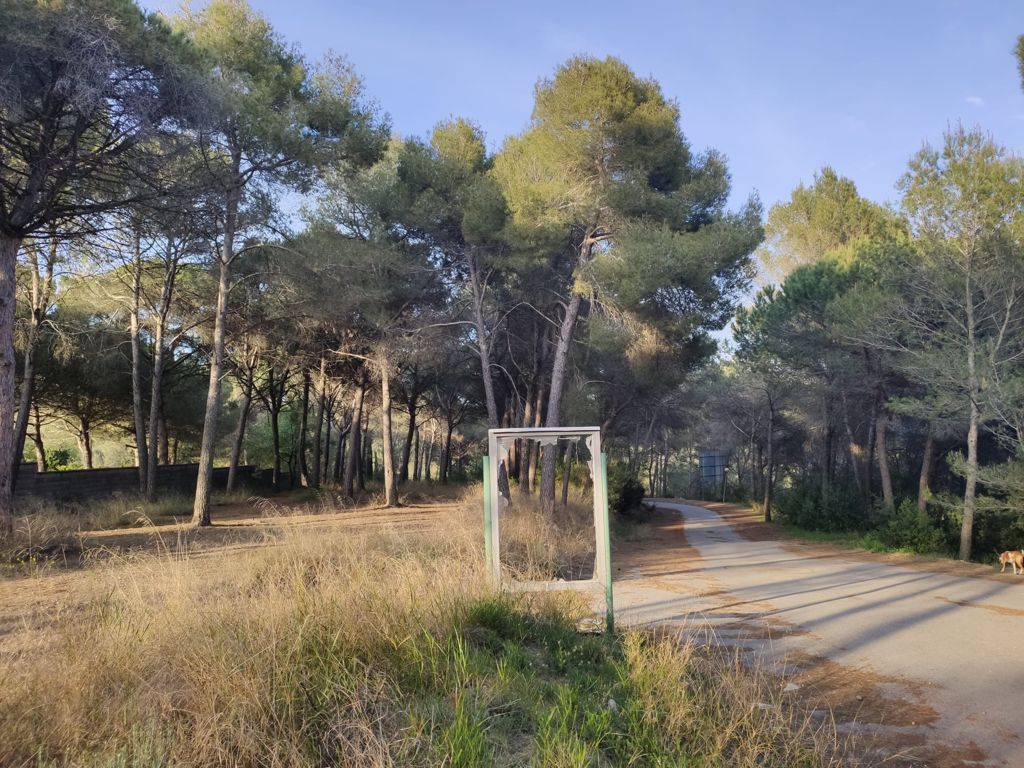 Vestigis de l'antic camp de golf. FOTO: NHS