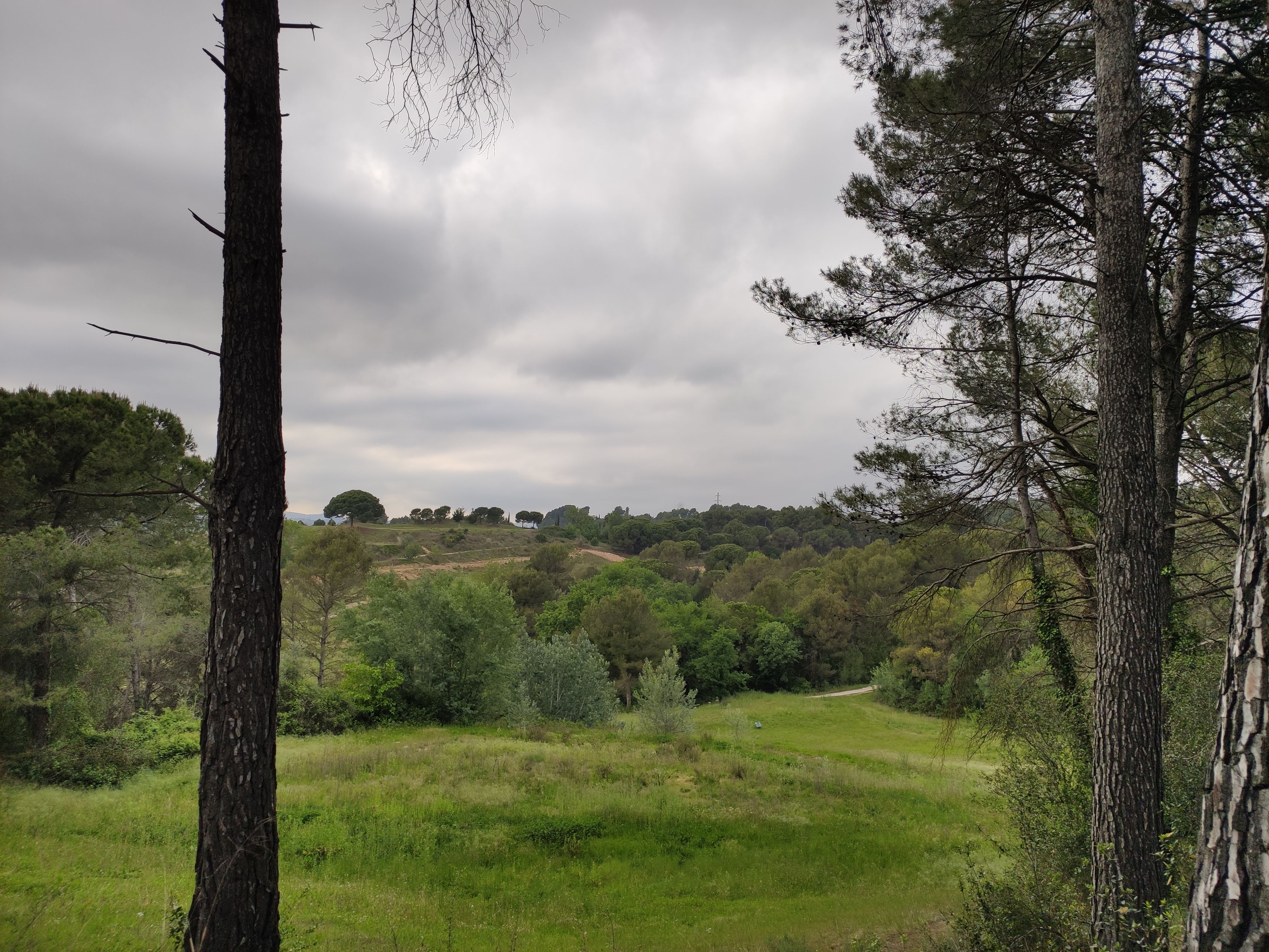 El camp de golf de Can Sant Joan, on Sant Cugat vol construir 3.000 habitatges públics FOTO: Núria Hueso