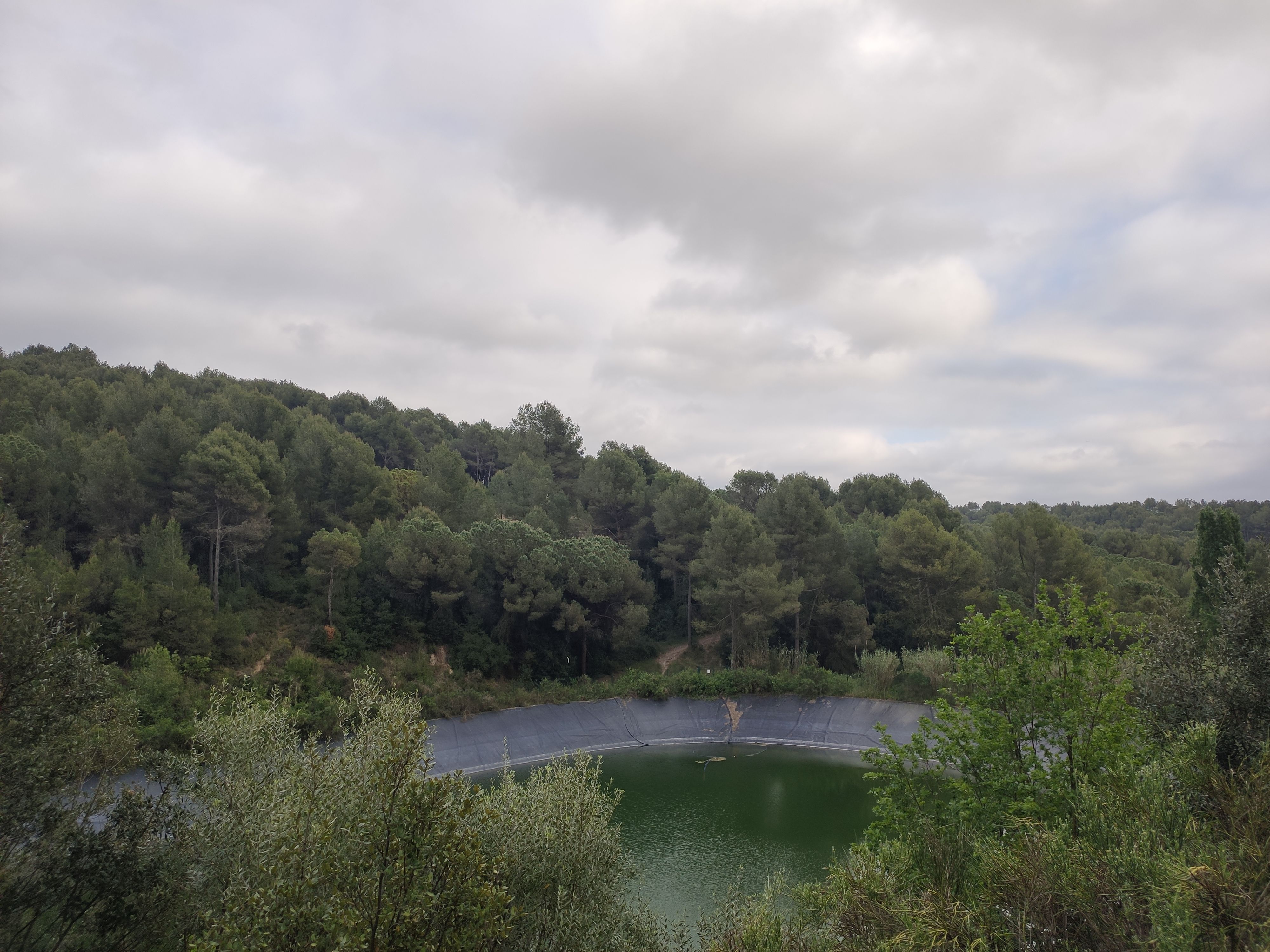La bassa d'aigua de l'antic camp de golf. FOTO: NHS