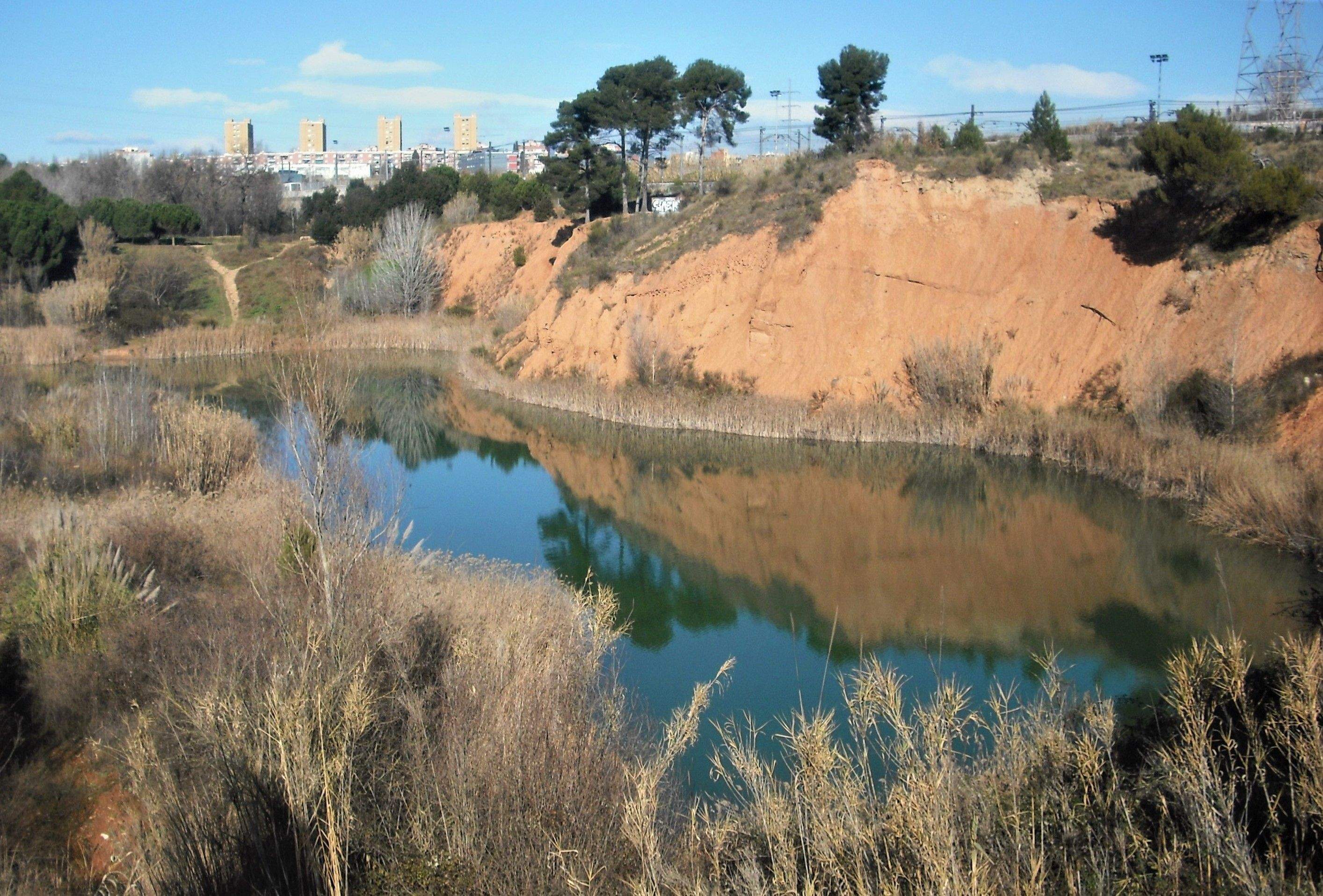 La bassa o estany dels Alous en el 2016. FOTO: Jordi Vilalta
