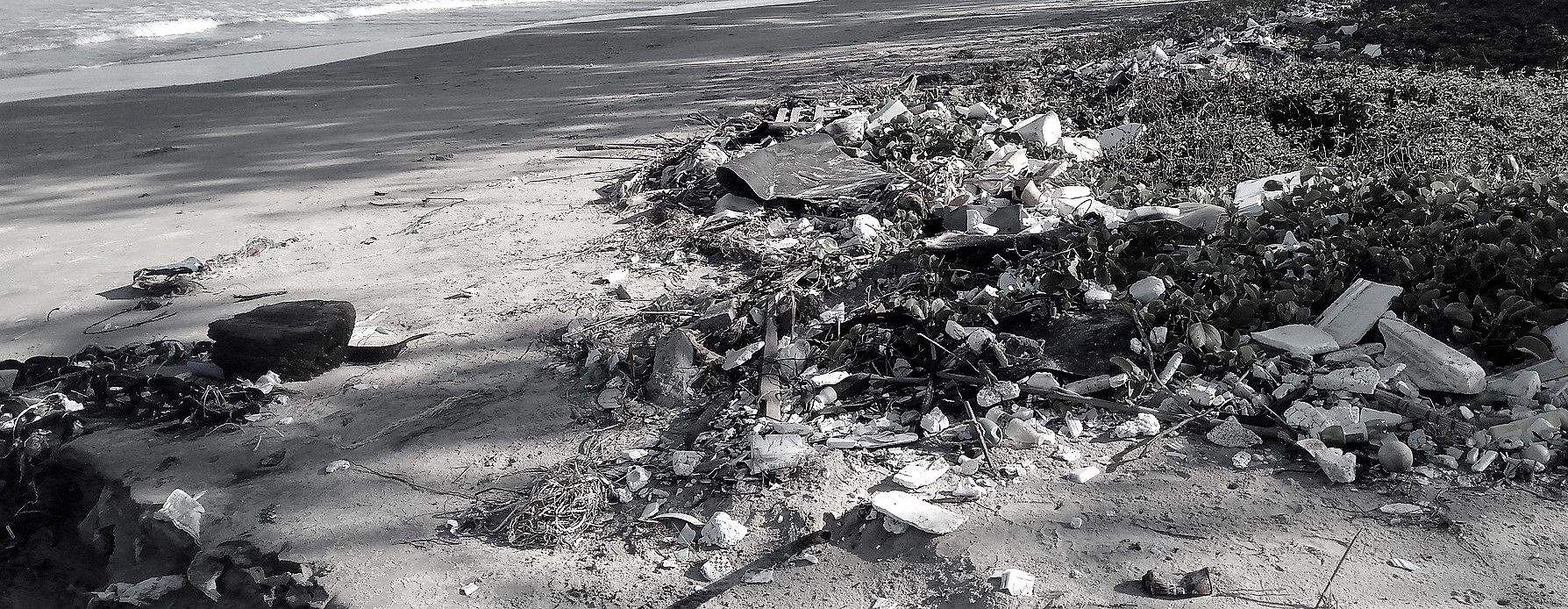 Article d'opinió del regidor de Medi Ambient, Andrés Medrano. FOTO: Pixabay Article d'opinió del regidor de Medi Ambient, Andrés Medrano. FOTO: Pixabay