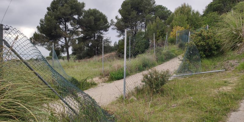 Tanques malmeses al camp de golf. FOTO: NHS