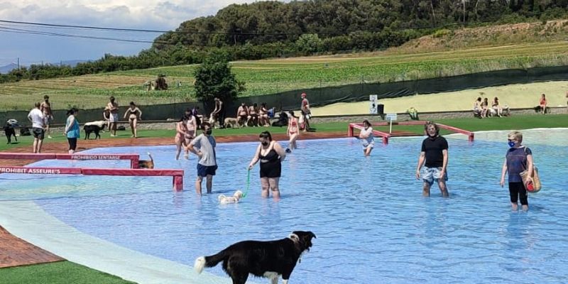 Aqua Park Canino. FONT: Facebook de Perros al agua/ Aquapark Canino 