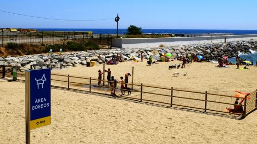 Platja per a gossos a Barcelona. FOTO: Ajuntament de Barcelona